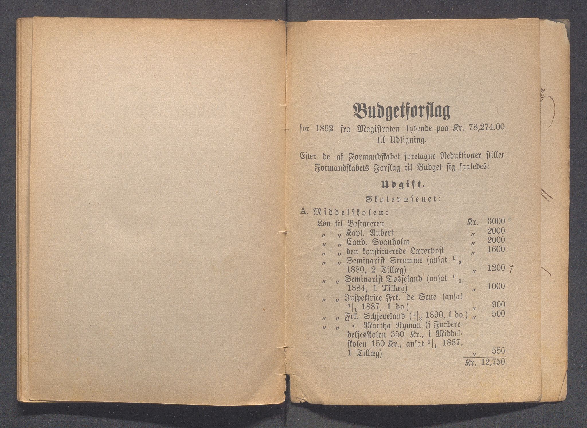 Haugesund kommune - Formannskapet og Bystyret, IKAR/A-740/A/Abb/L0001: Bystyreforhandlinger, 1889-1907, s. 105