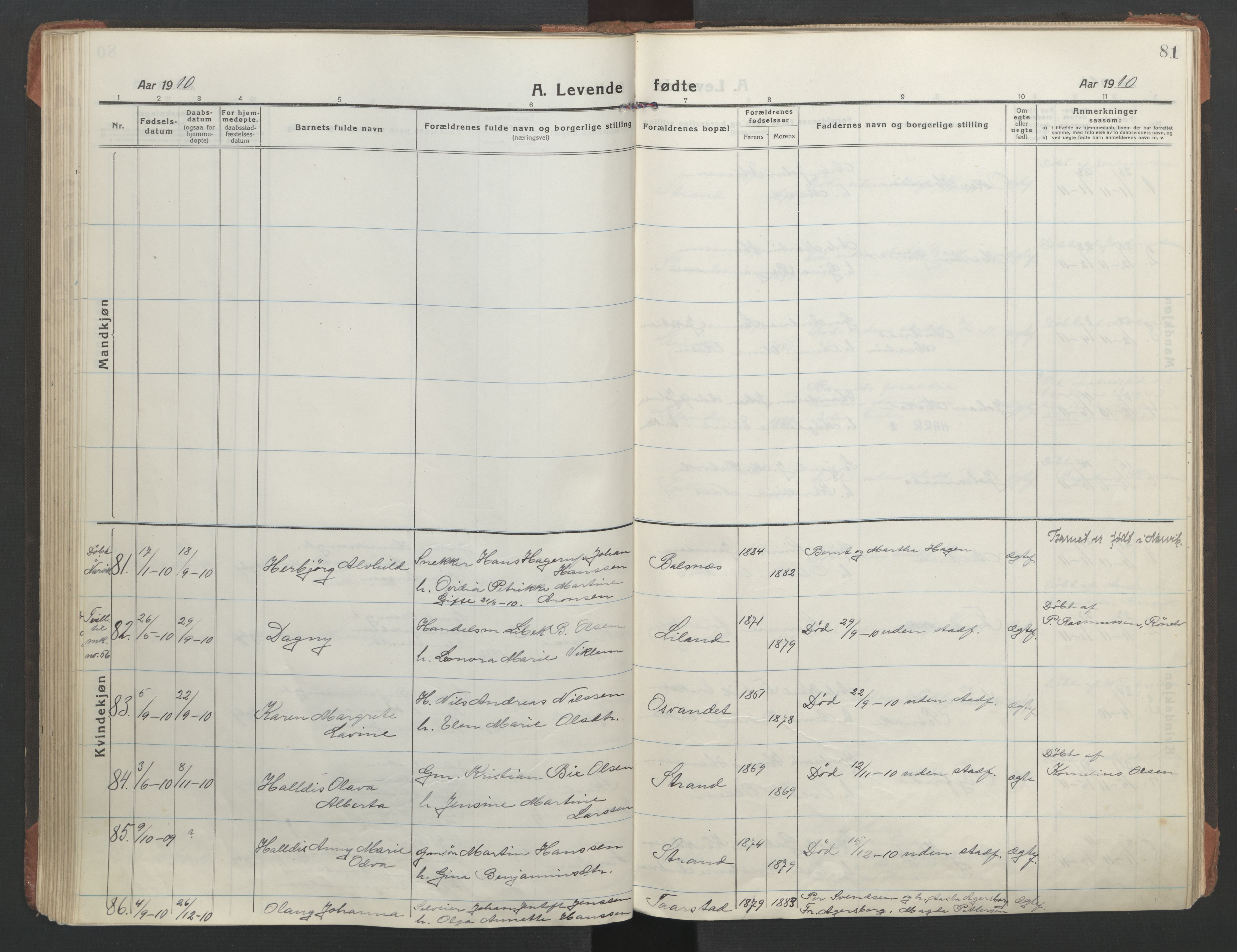 Ministerialprotokoller, klokkerbøker og fødselsregistre - Nordland, AV/SAT-A-1459/863/L0900: Ministerialbok nr. 863A12, 1906-1915, s. 81