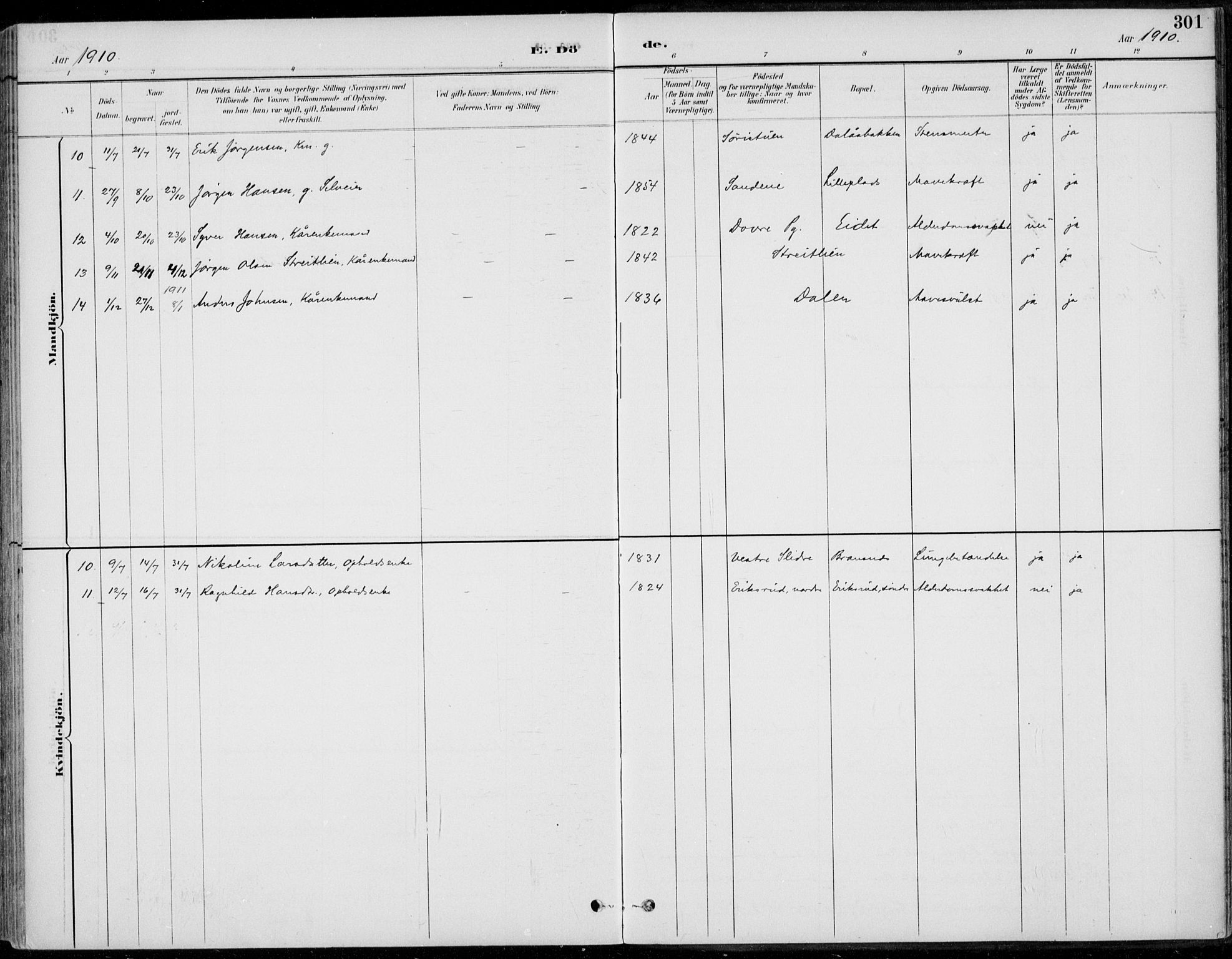 Alvdal prestekontor, SAH/PREST-060/H/Ha/Haa/L0003: Ministerialbok nr. 3, 1886-1912, s. 301