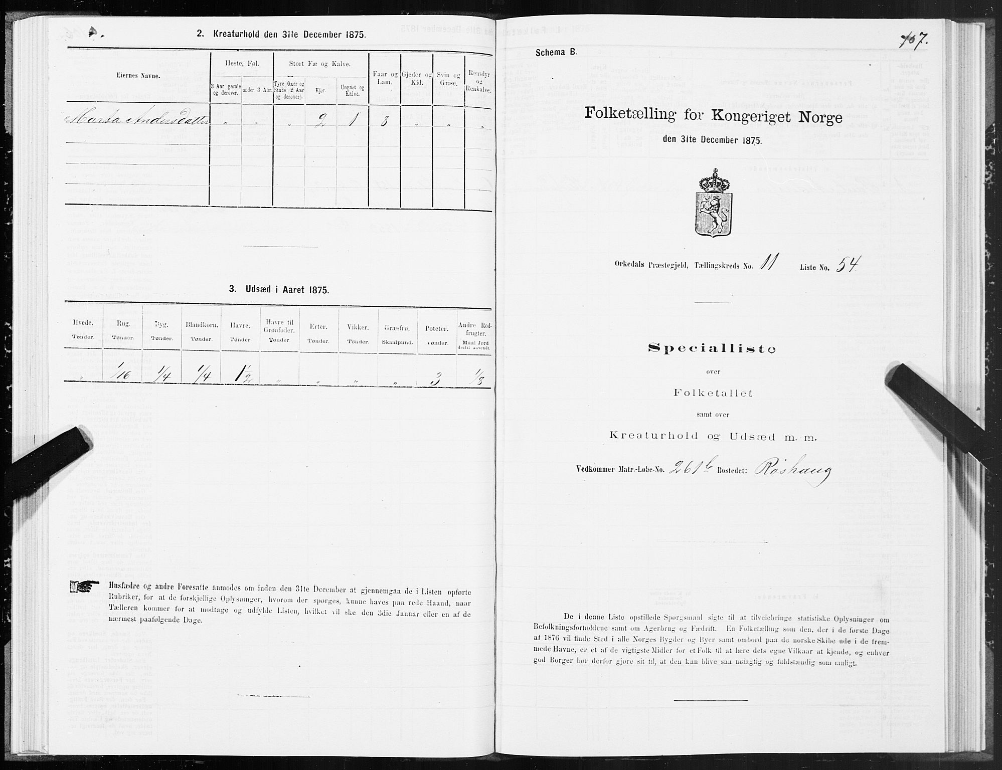 SAT, Folketelling 1875 for 1638P Orkdal prestegjeld, 1875, s. 6107