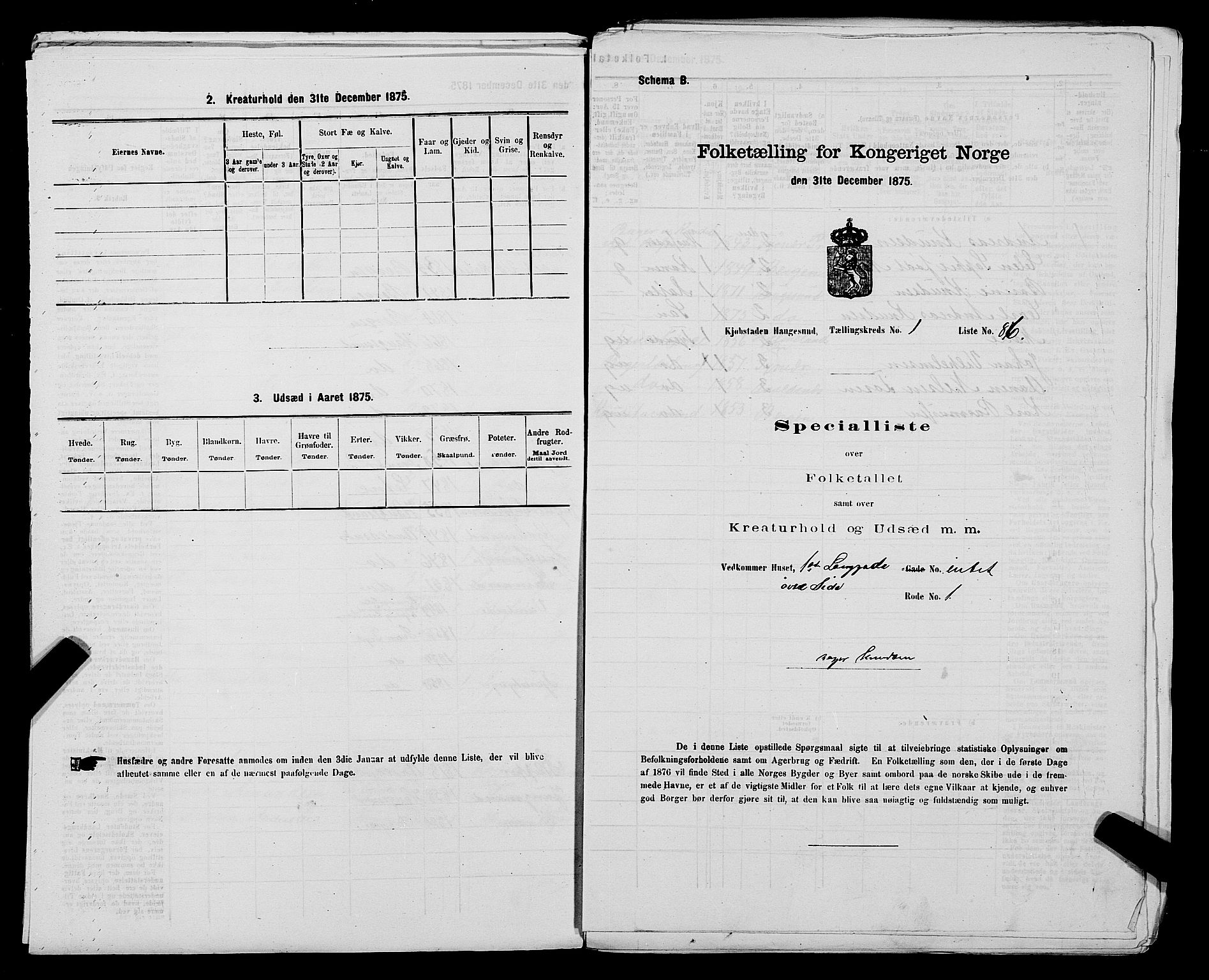 SAST, Folketelling 1875 for 1106B Torvastad prestegjeld, Haugesund kjøpstad, 1875, s. 101