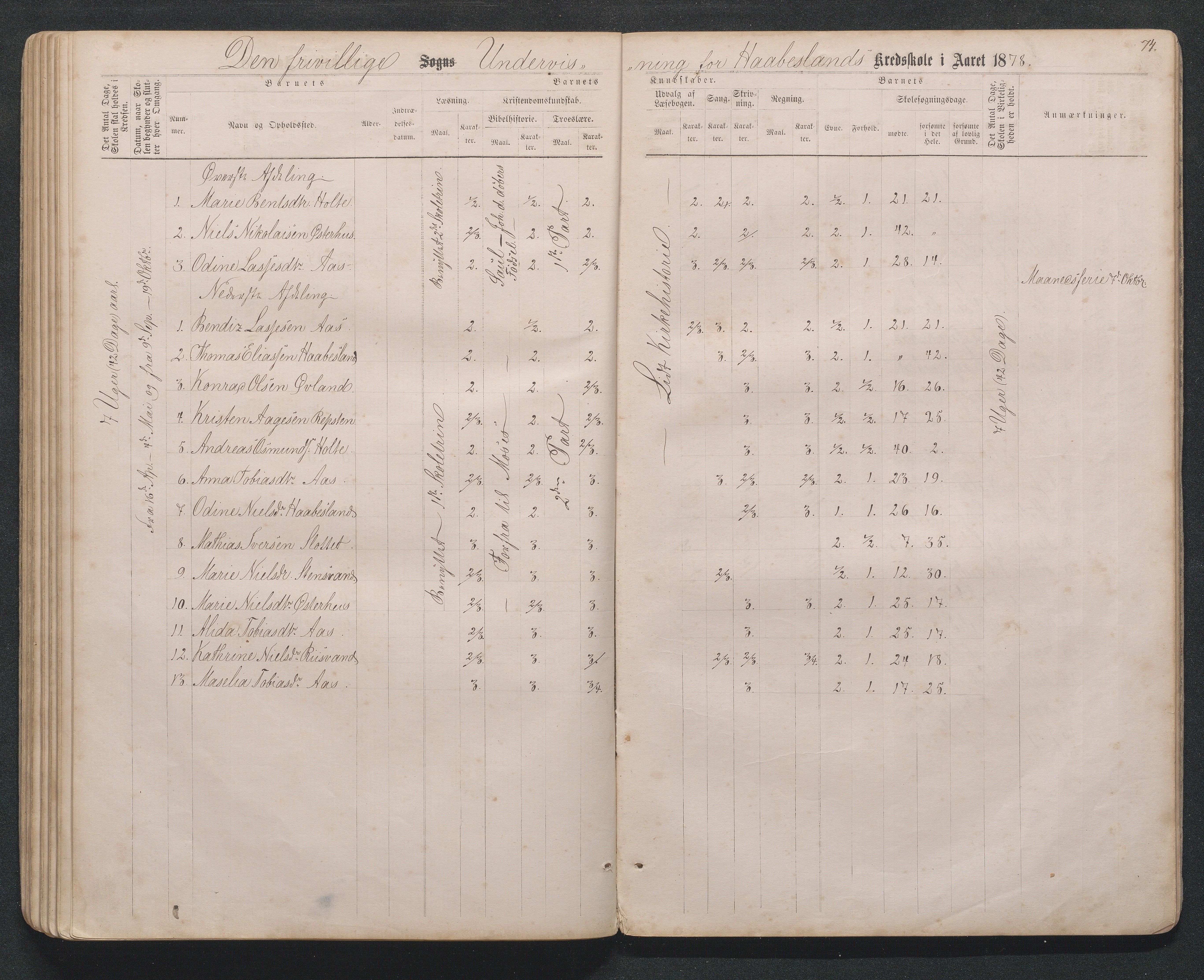 Birkenes kommune, Håbesland, Holte og Rislå skolekretser frem til 1991, AAKS/KA0928-550c_91/F02/L0001: Skoleprotokoll Håbesland, Holte og Rislå, 1868-1887, s. 74