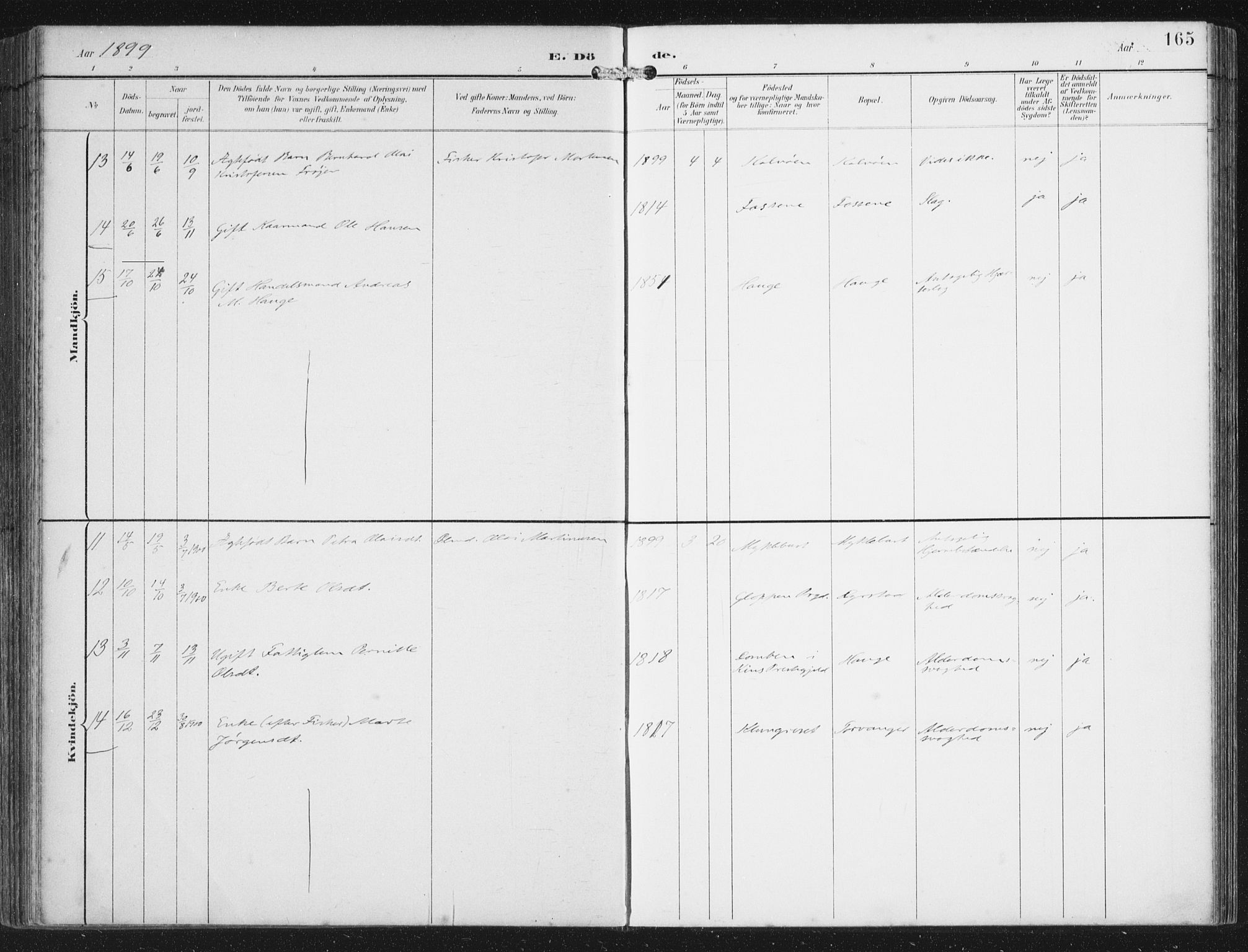 Bremanger sokneprestembete, AV/SAB-A-82201/H/Haa/Haab/L0002: Ministerialbok nr. B  2, 1896-1908, s. 165