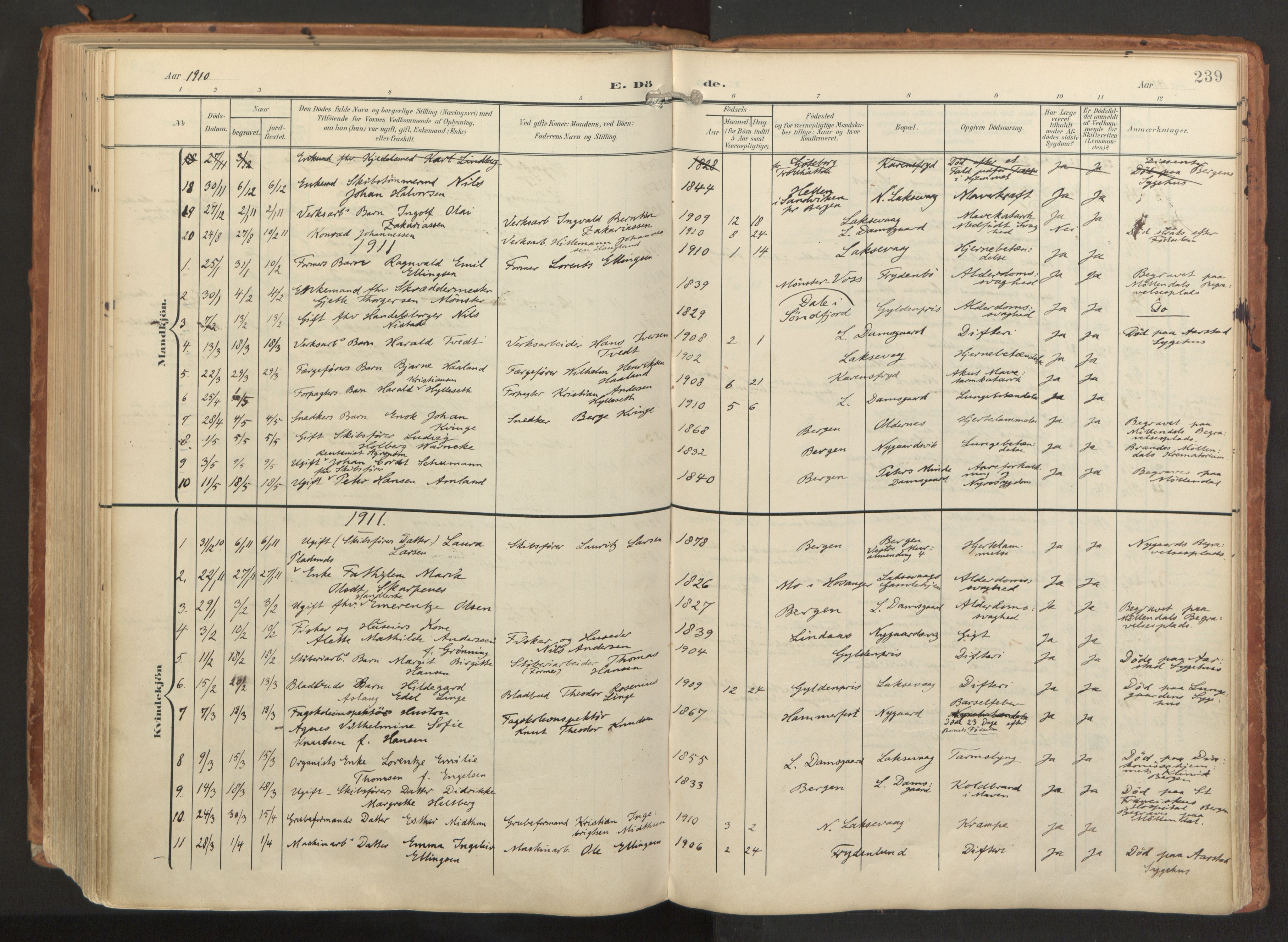 Laksevåg Sokneprestembete, AV/SAB-A-76501/H/Ha/Haa/Haaa/L0001: Ministerialbok nr. A 1, 1903-1917, s. 239