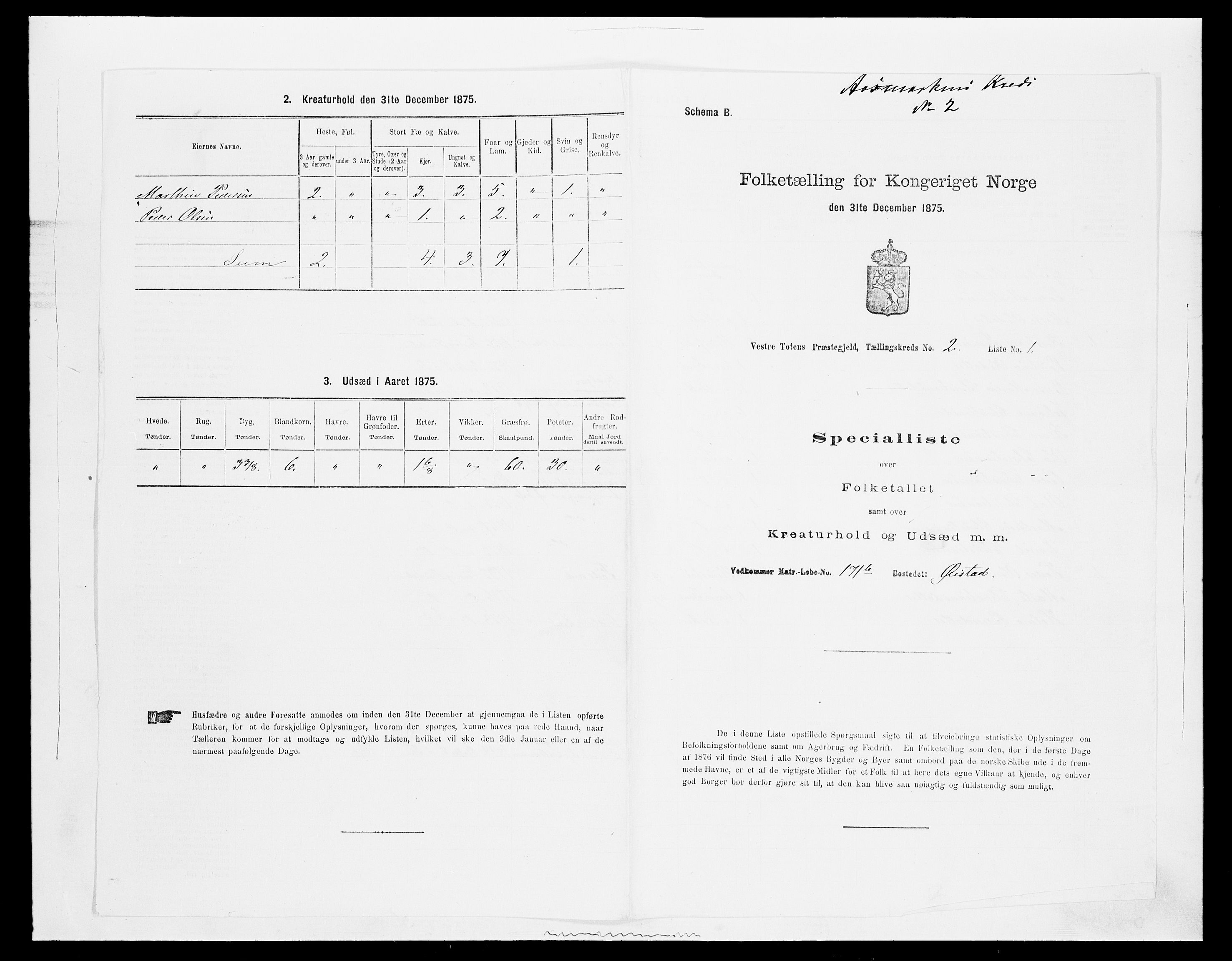 SAH, Folketelling 1875 for 0529P Vestre Toten prestegjeld, 1875, s. 427