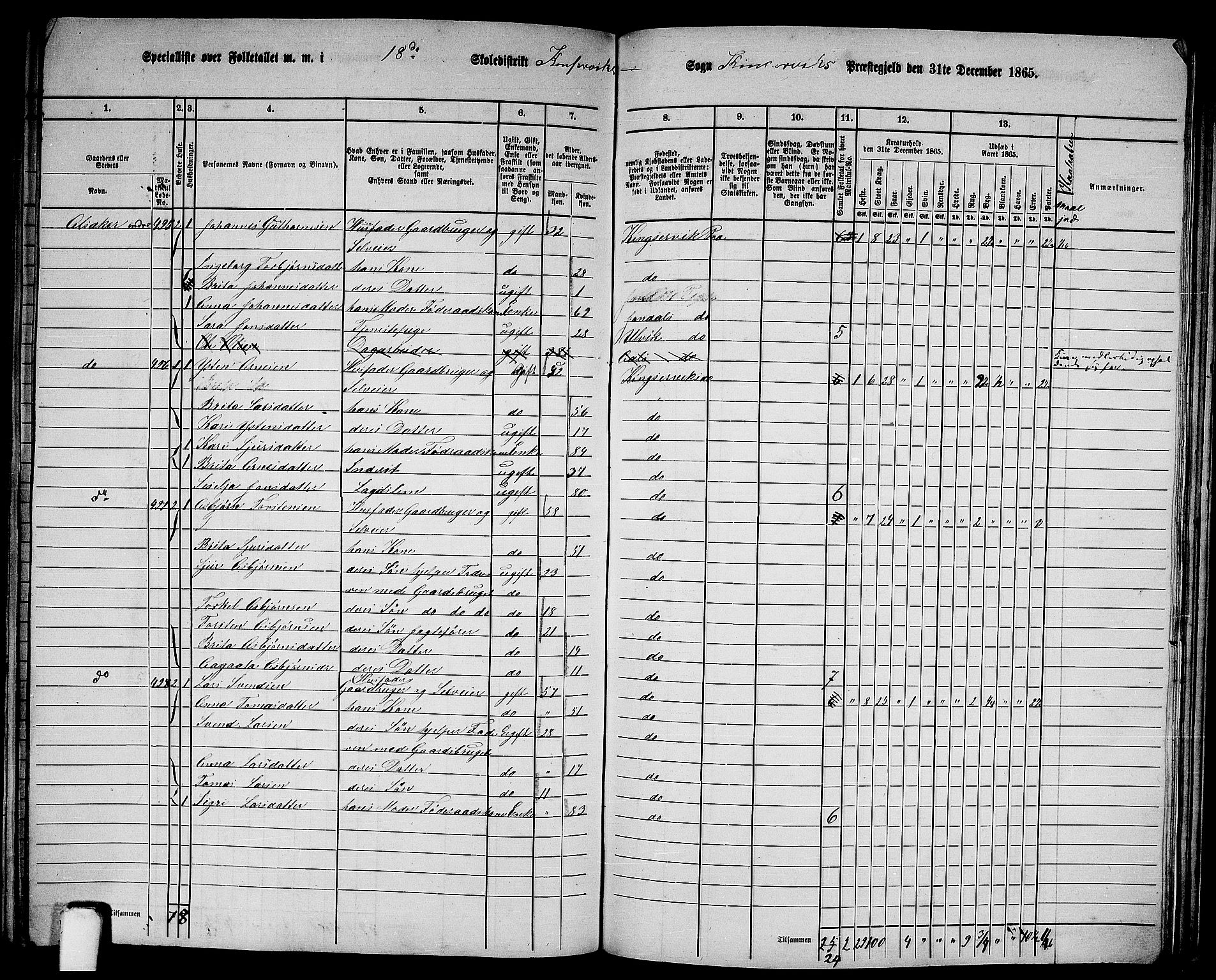 RA, Folketelling 1865 for 1230P Kinsarvik prestegjeld, 1865, s. 210