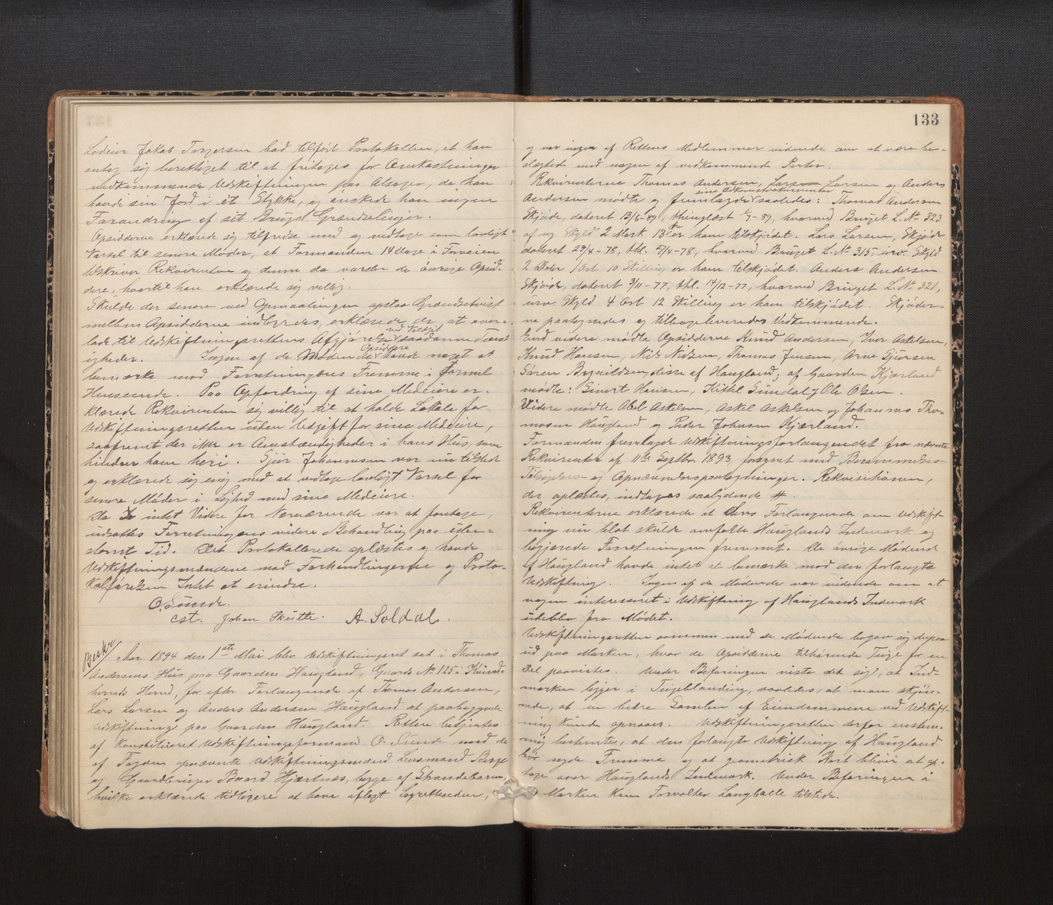 Hordaland jordskiftedøme - IV Hardanger jordskiftedistrikt, AV/SAB-A-7101/A/Aa/L0013: Forhandlingsprotokoll, 1890-1894, s. 132b-133a