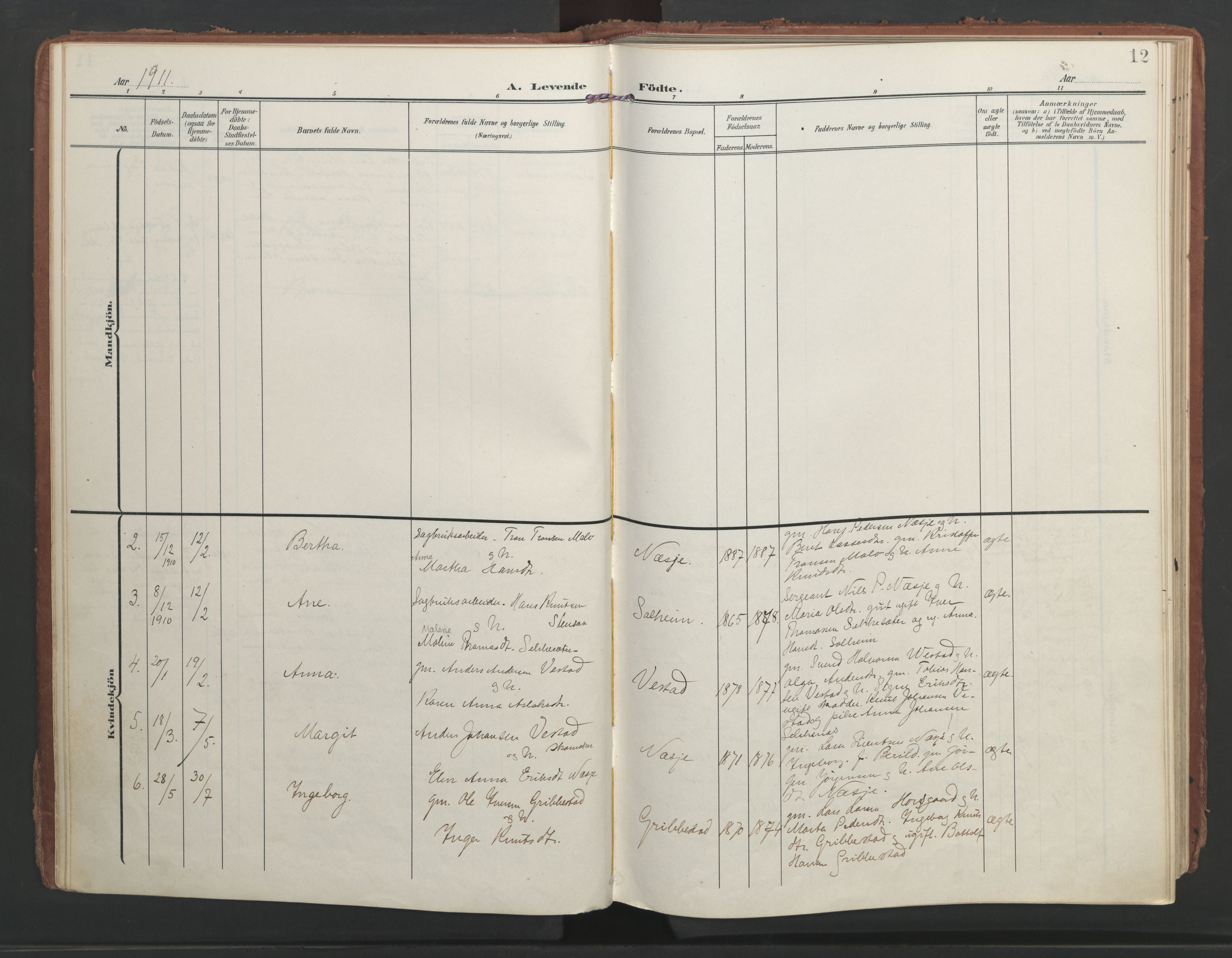 Ministerialprotokoller, klokkerbøker og fødselsregistre - Møre og Romsdal, AV/SAT-A-1454/547/L0605: Ministerialbok nr. 547A07, 1907-1936, s. 12