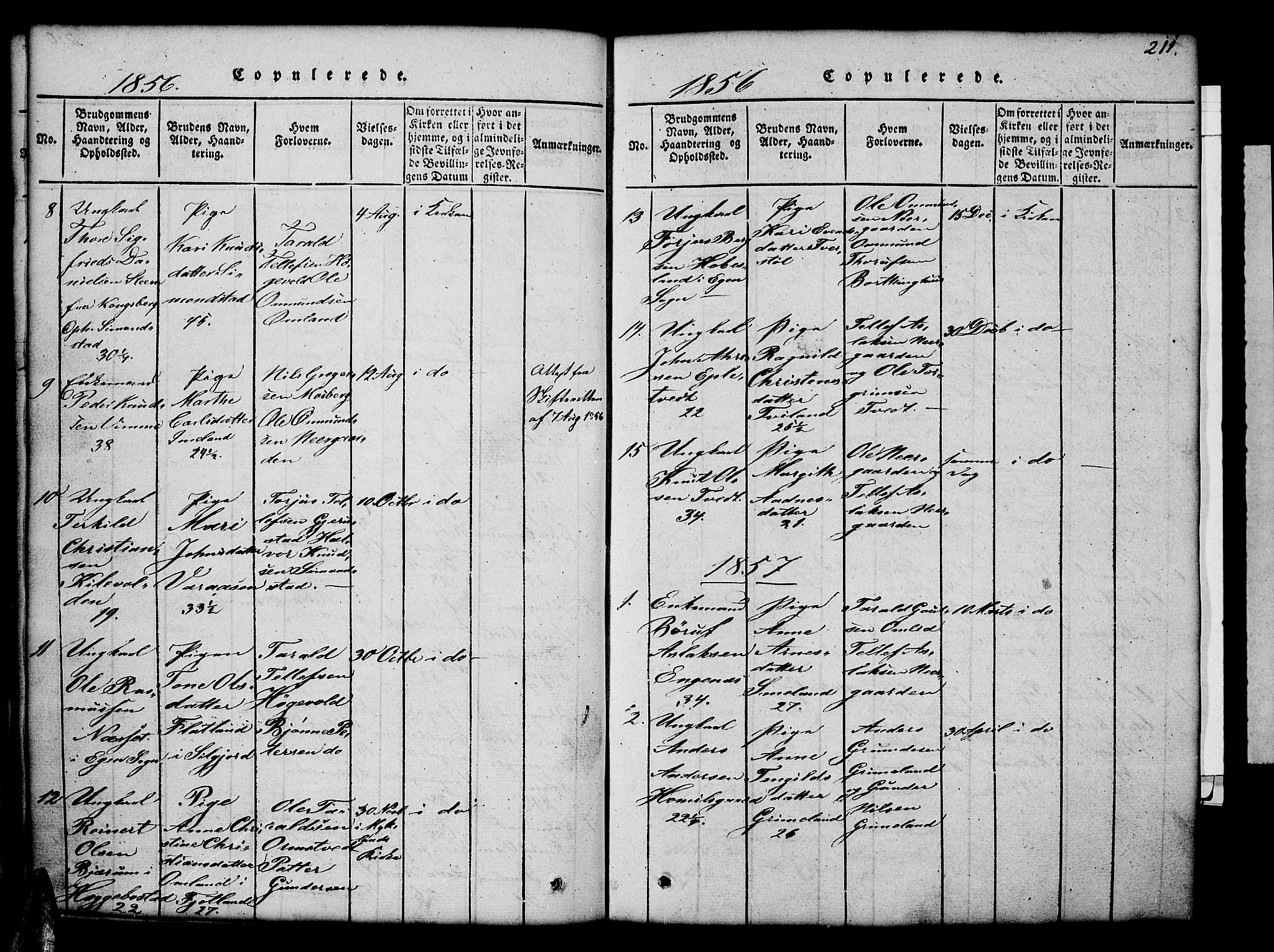 Åmli sokneprestkontor, SAK/1111-0050/F/Fb/Fbc/L0001: Klokkerbok nr. B 1, 1816-1867, s. 211