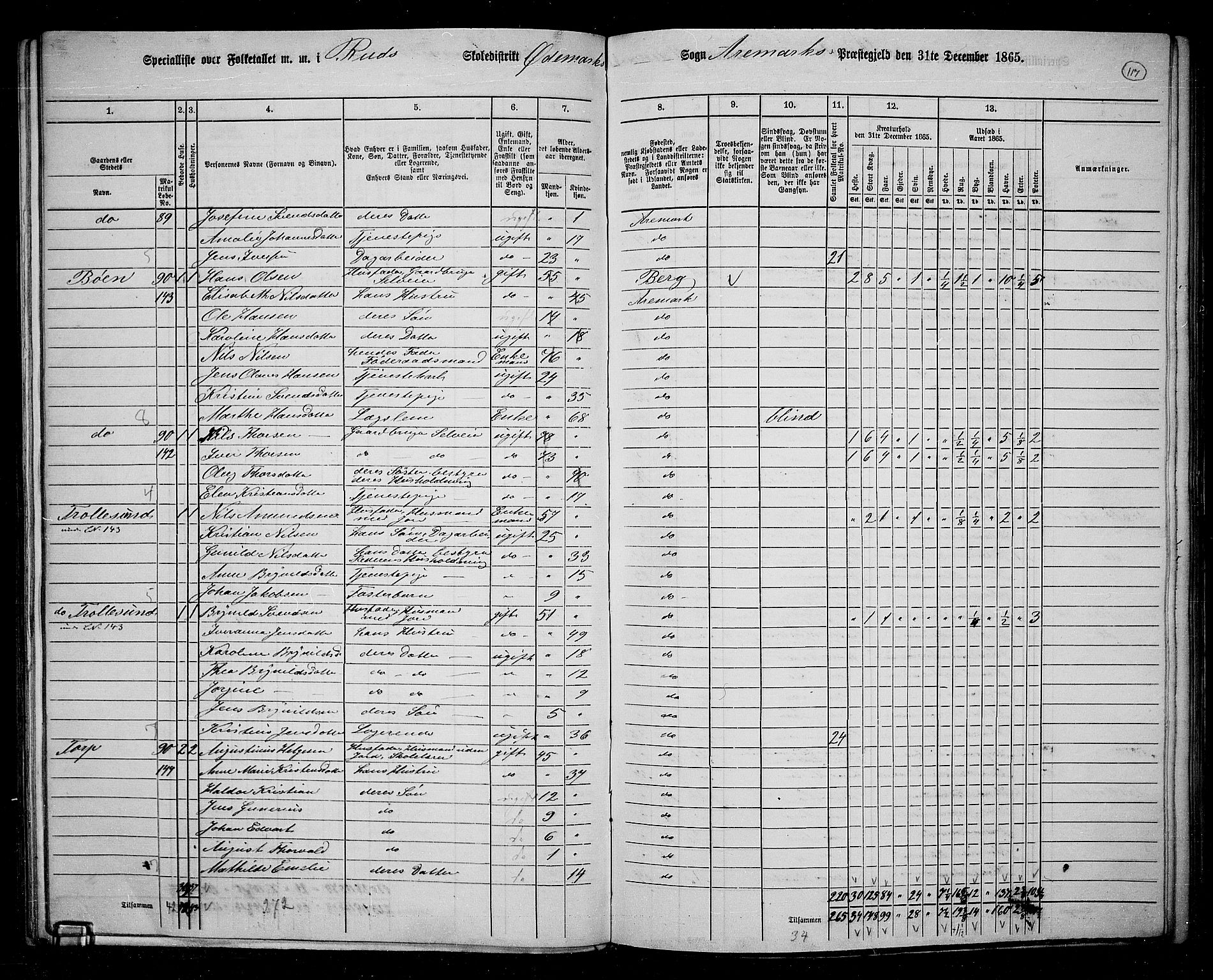 RA, Folketelling 1865 for 0118P Aremark prestegjeld, 1865, s. 105