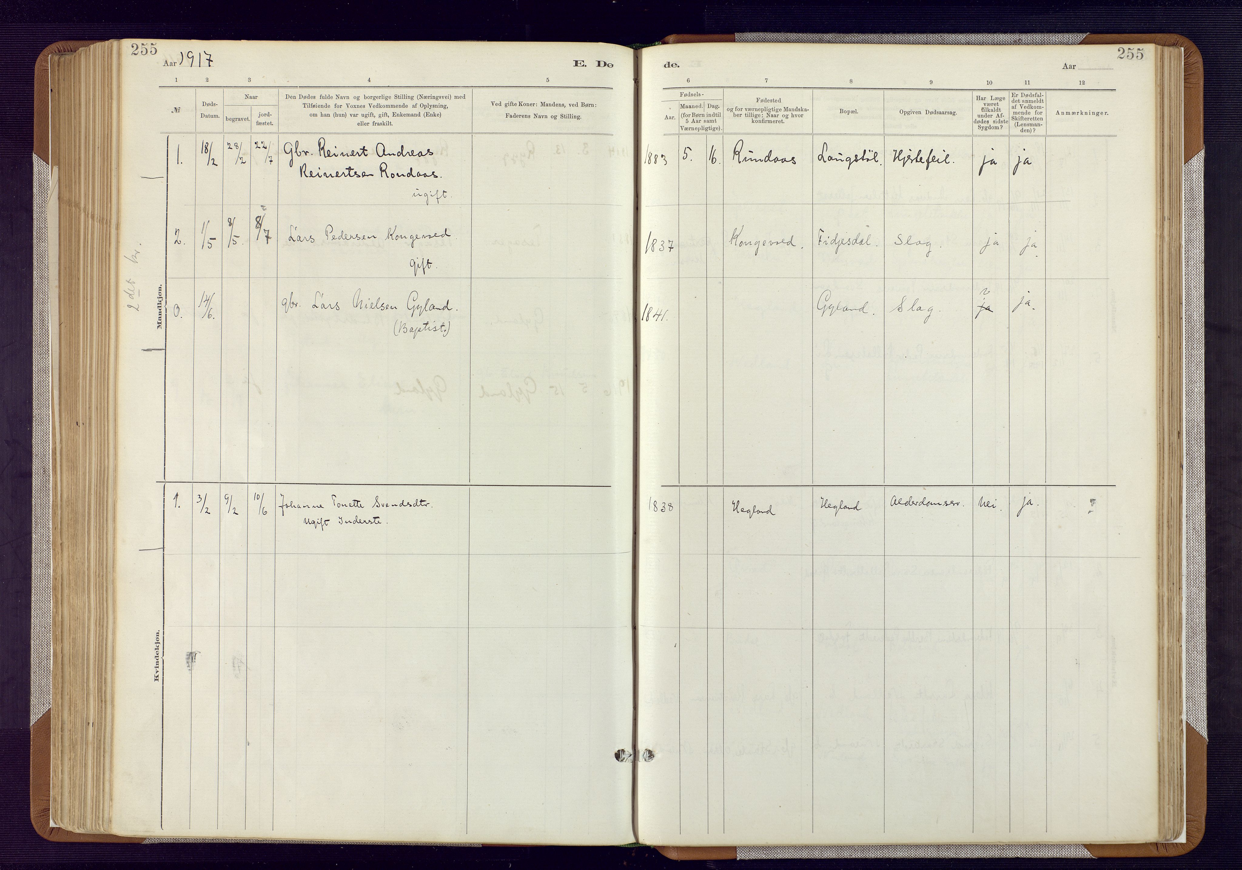 Bakke sokneprestkontor, AV/SAK-1111-0002/F/Fa/Fab/L0003: Ministerialbok nr. A 3, 1884-1921, s. 255