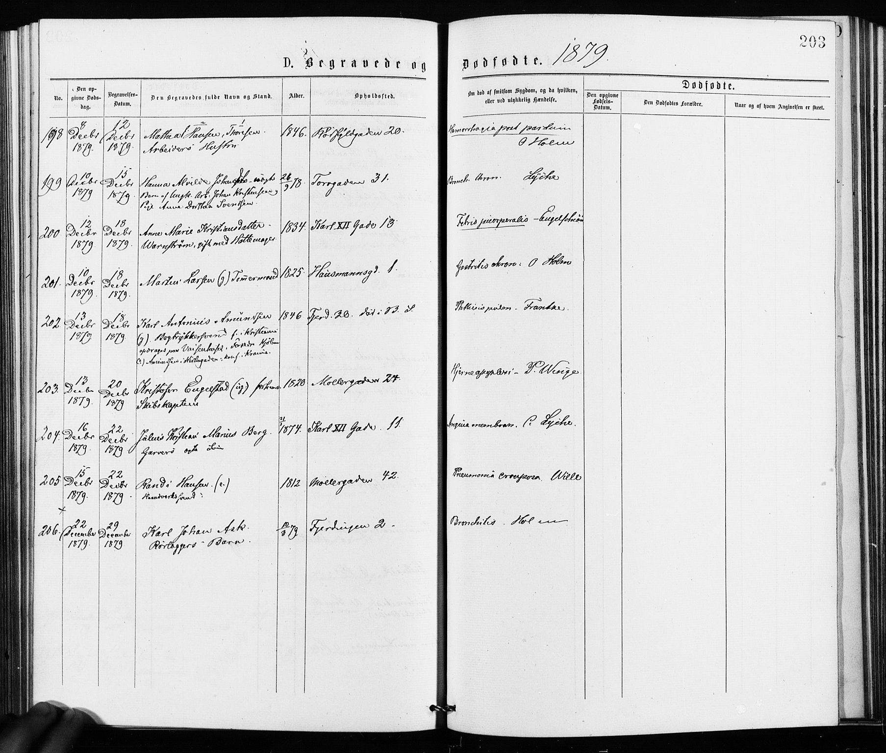 Jakob prestekontor Kirkebøker, SAO/A-10850/F/Fa/L0002: Ministerialbok nr. 2, 1875-1879, s. 203