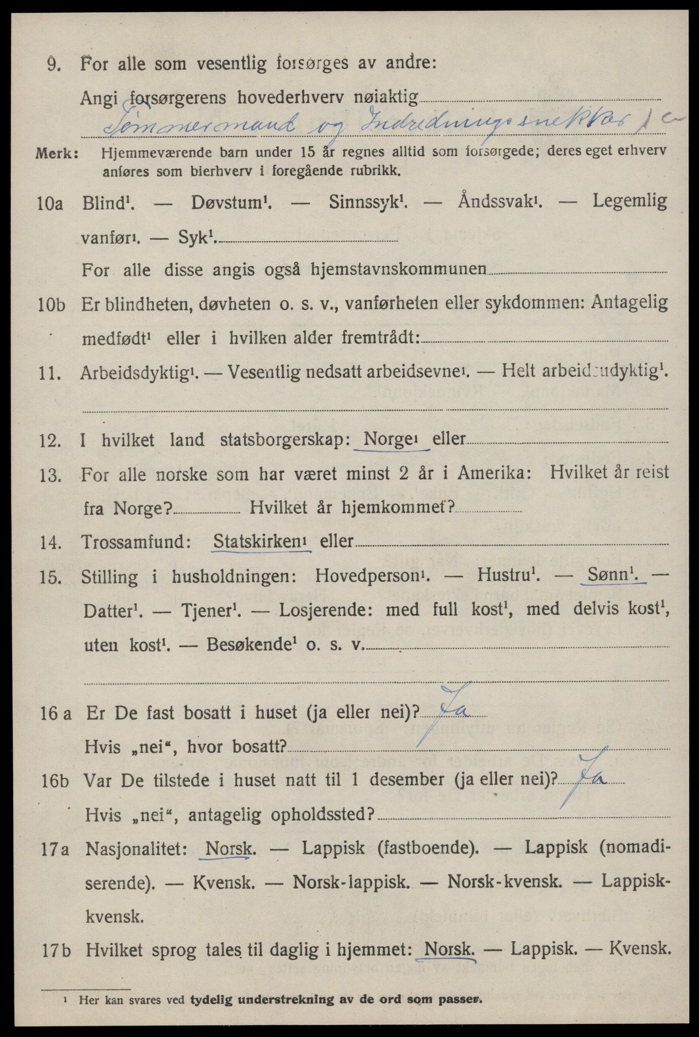SAT, Folketelling 1920 for 1649 Soknedal herred, 1920, s. 4729