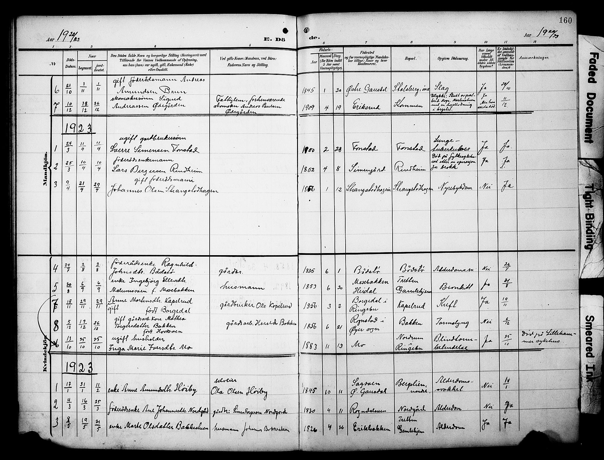Øyer prestekontor, AV/SAH-PREST-084/H/Ha/Hab/L0006: Klokkerbok nr. 6, 1906-1929, s. 160