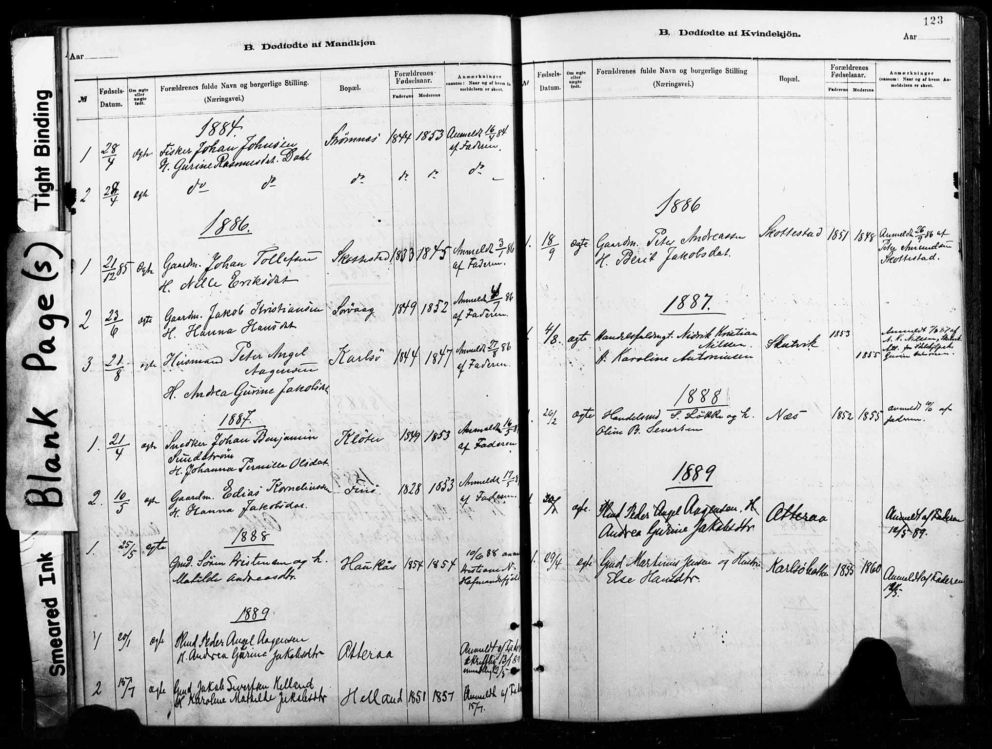 Ministerialprotokoller, klokkerbøker og fødselsregistre - Nordland, AV/SAT-A-1459/859/L0846: Ministerialbok nr. 859A06, 1878-1889, s. 123