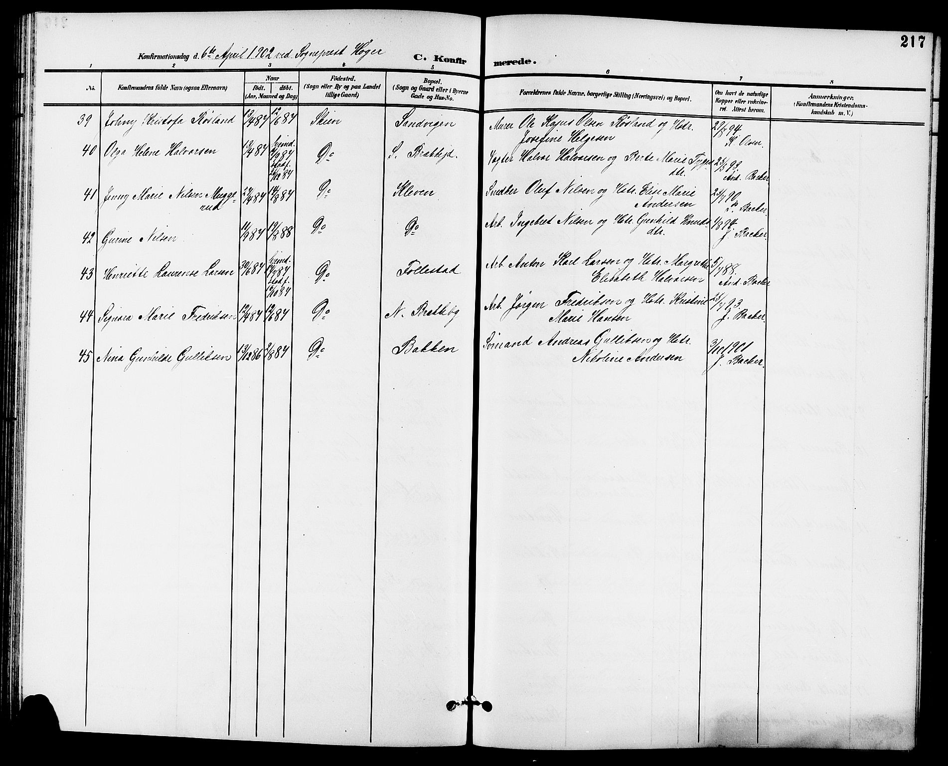 Skien kirkebøker, AV/SAKO-A-302/G/Ga/L0008: Klokkerbok nr. 8, 1900-1910, s. 217