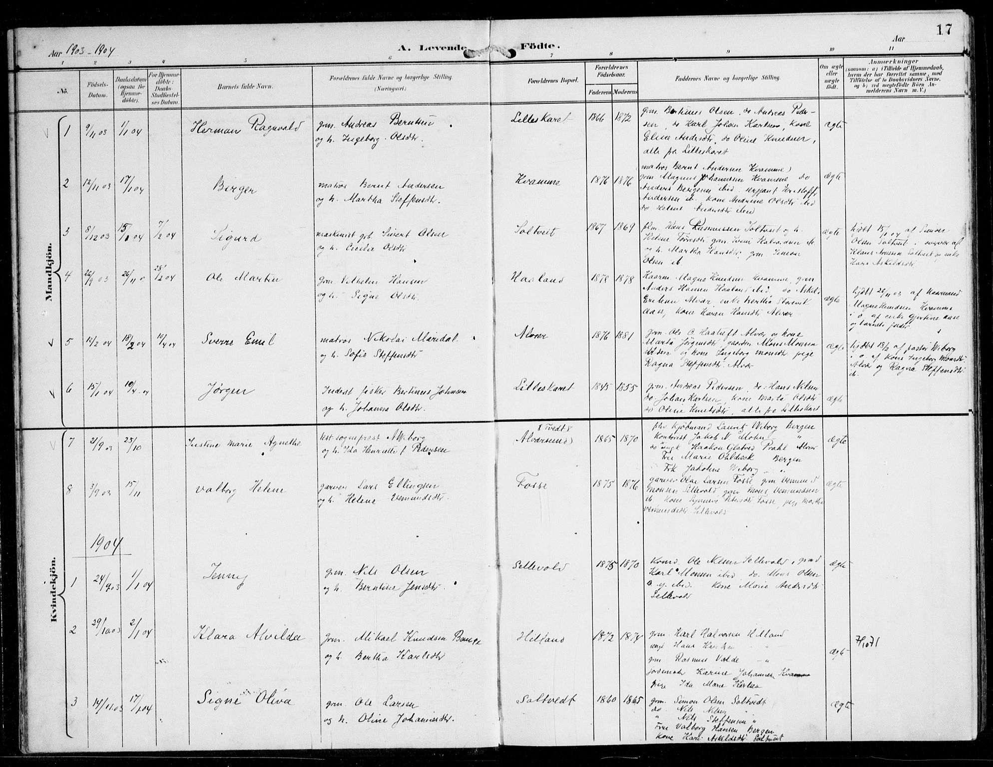 Alversund Sokneprestembete, AV/SAB-A-73901/H/Ha/Haa/Haaa/L0003: Ministerialbok nr. A 3, 1897-1926, s. 17