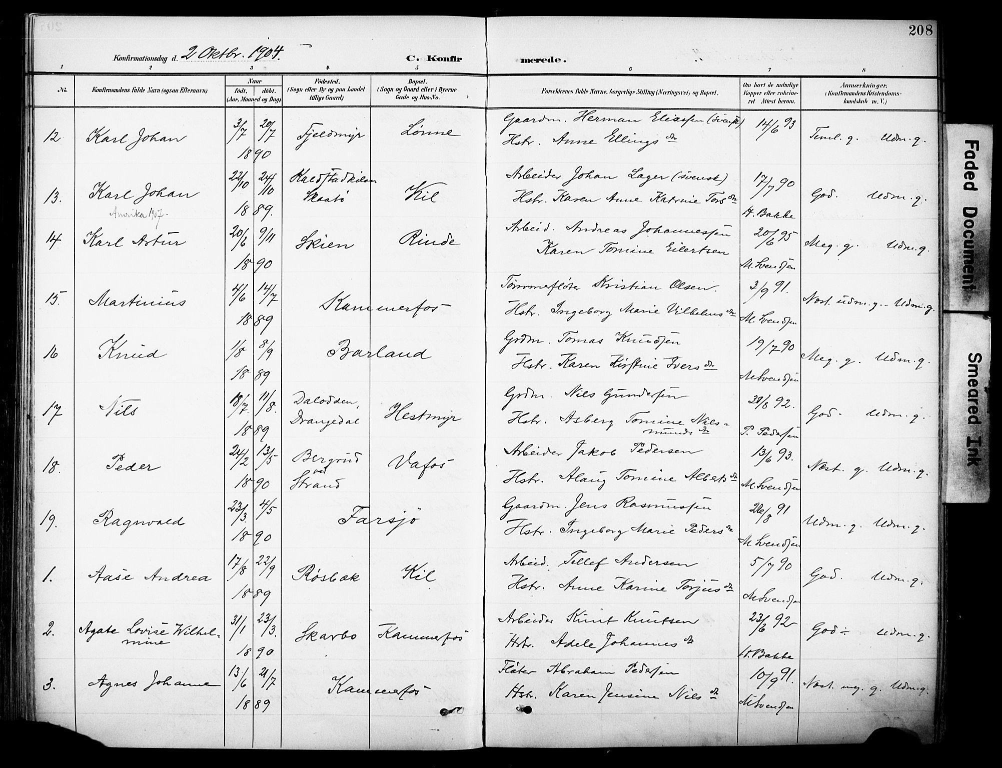 Sannidal kirkebøker, AV/SAKO-A-296/F/Fa/L0016: Ministerialbok nr. 16, 1895-1911, s. 208
