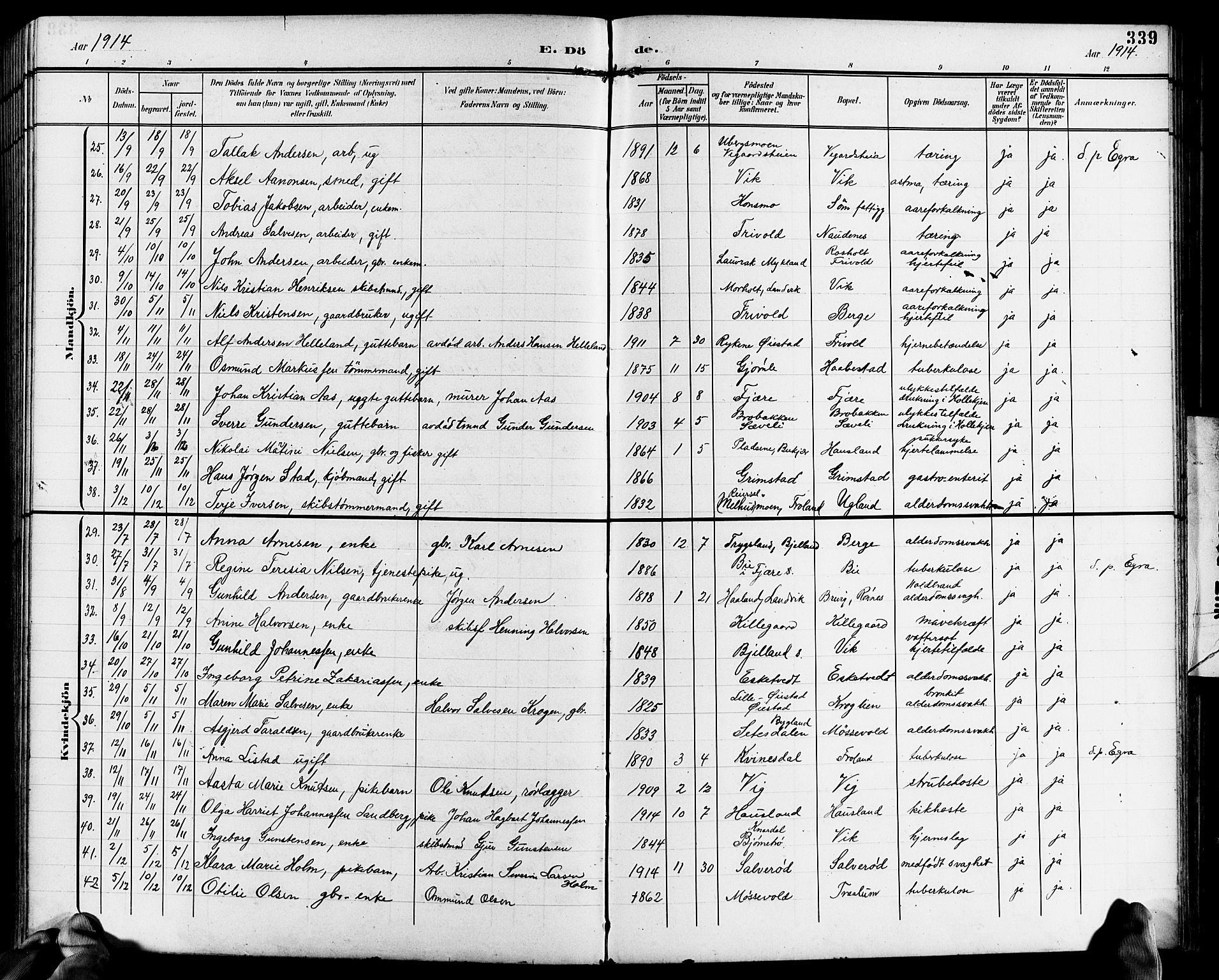 Fjære sokneprestkontor, AV/SAK-1111-0011/F/Fb/L0012: Klokkerbok nr. B 12, 1902-1925, s. 339