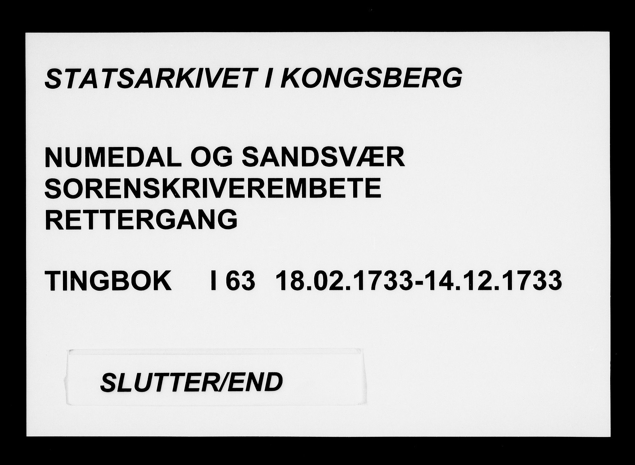 Numedal og Sandsvær sorenskriveri, AV/SAKO-A-128/F/Fa/Faa/L0063: Tingbøker, 1733