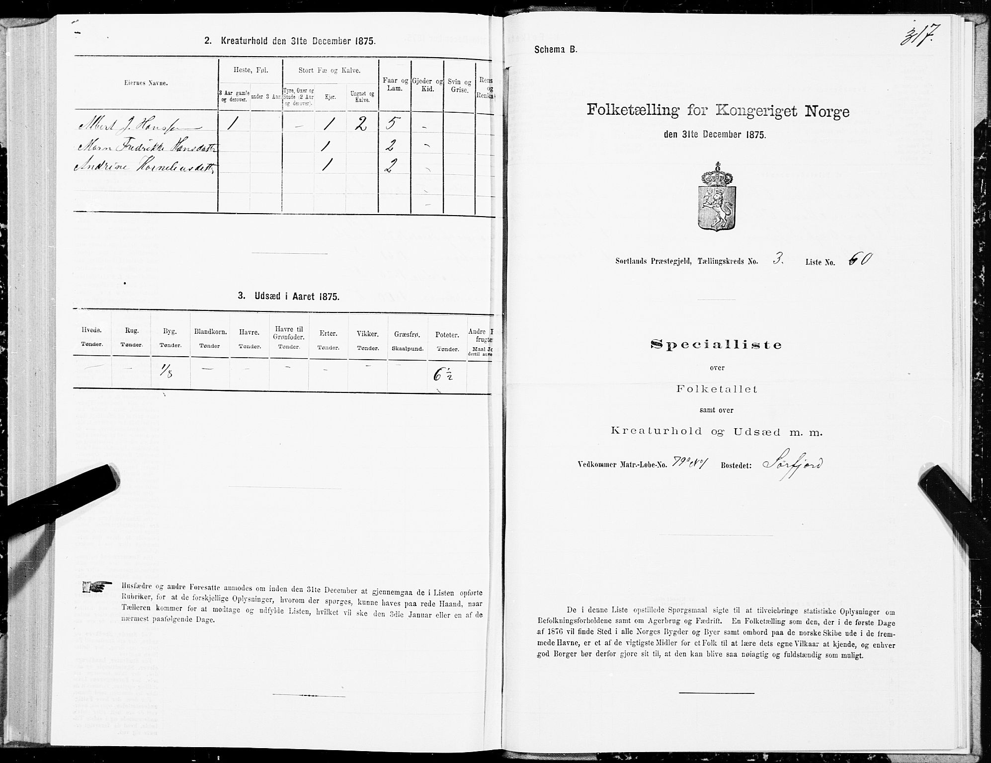 SAT, Folketelling 1875 for 1870P Sortland prestegjeld, 1875, s. 2317