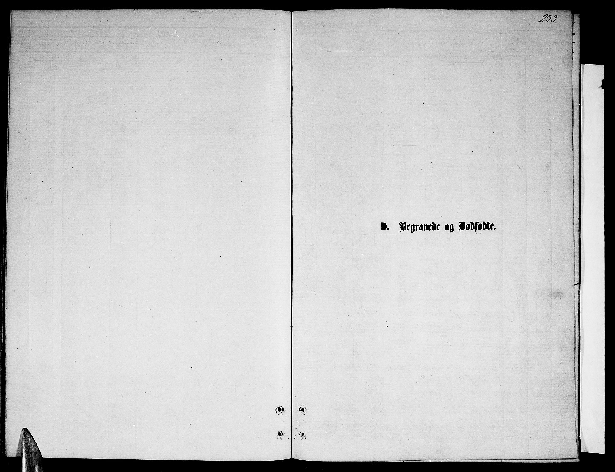 Ministerialprotokoller, klokkerbøker og fødselsregistre - Nordland, SAT/A-1459/846/L0653: Klokkerbok nr. 846C03, 1872-1887, s. 233