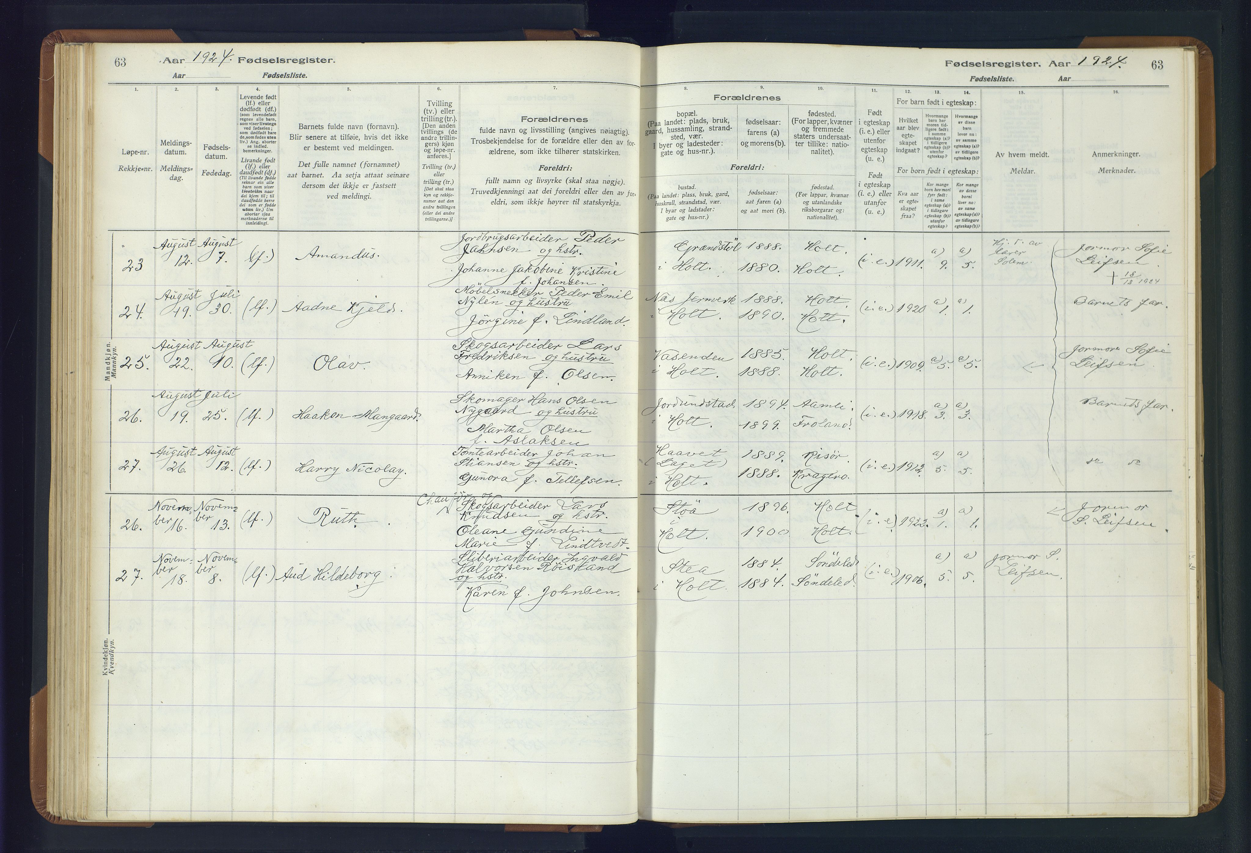 Holt sokneprestkontor, AV/SAK-1111-0021/J/Ja/L0001: Fødselsregister nr. II.4.1, 1916-1946, s. 63