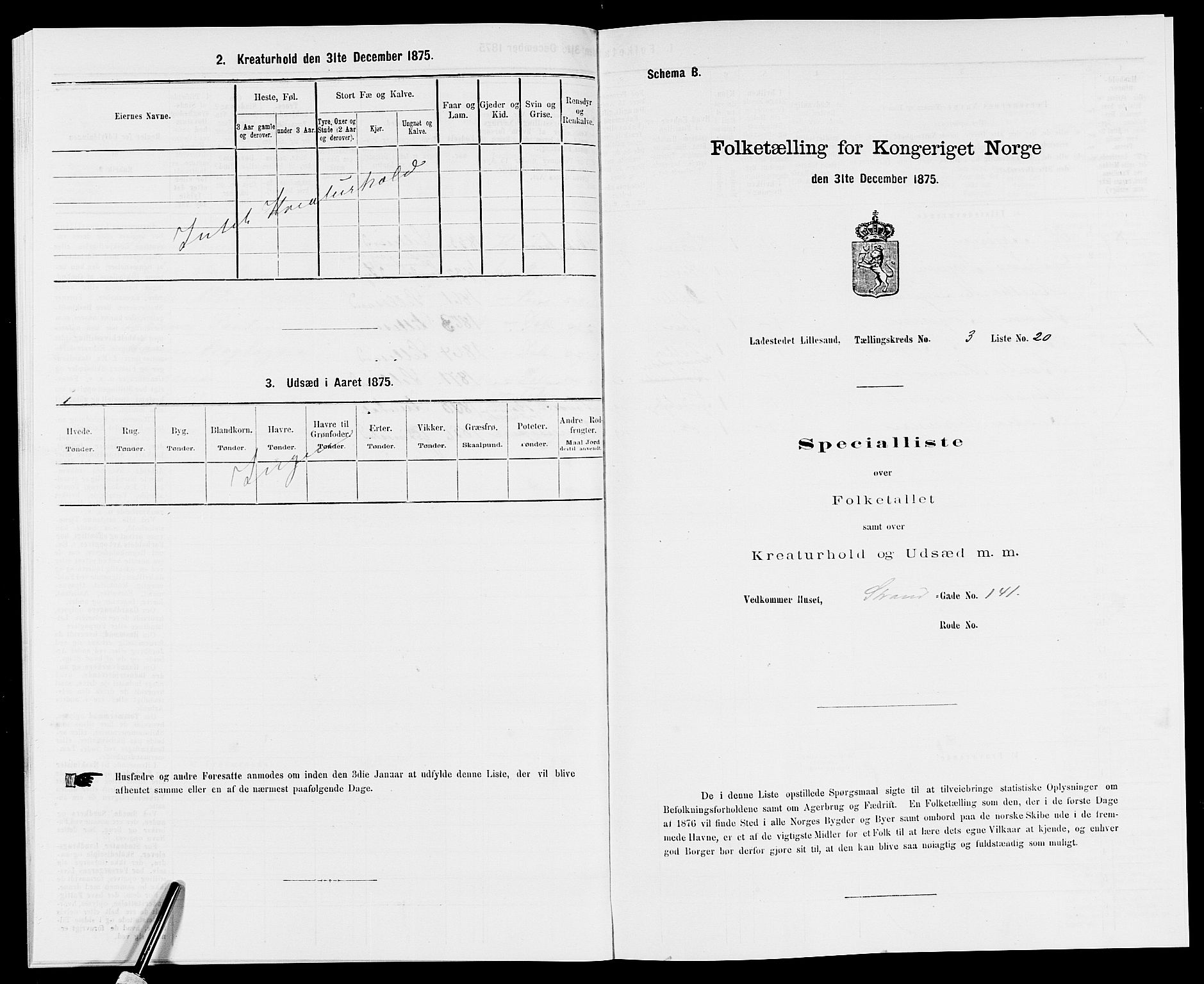 SAK, Folketelling 1875 for 0905B Vestre Moland prestegjeld, Lillesand ladested, 1875, s. 243