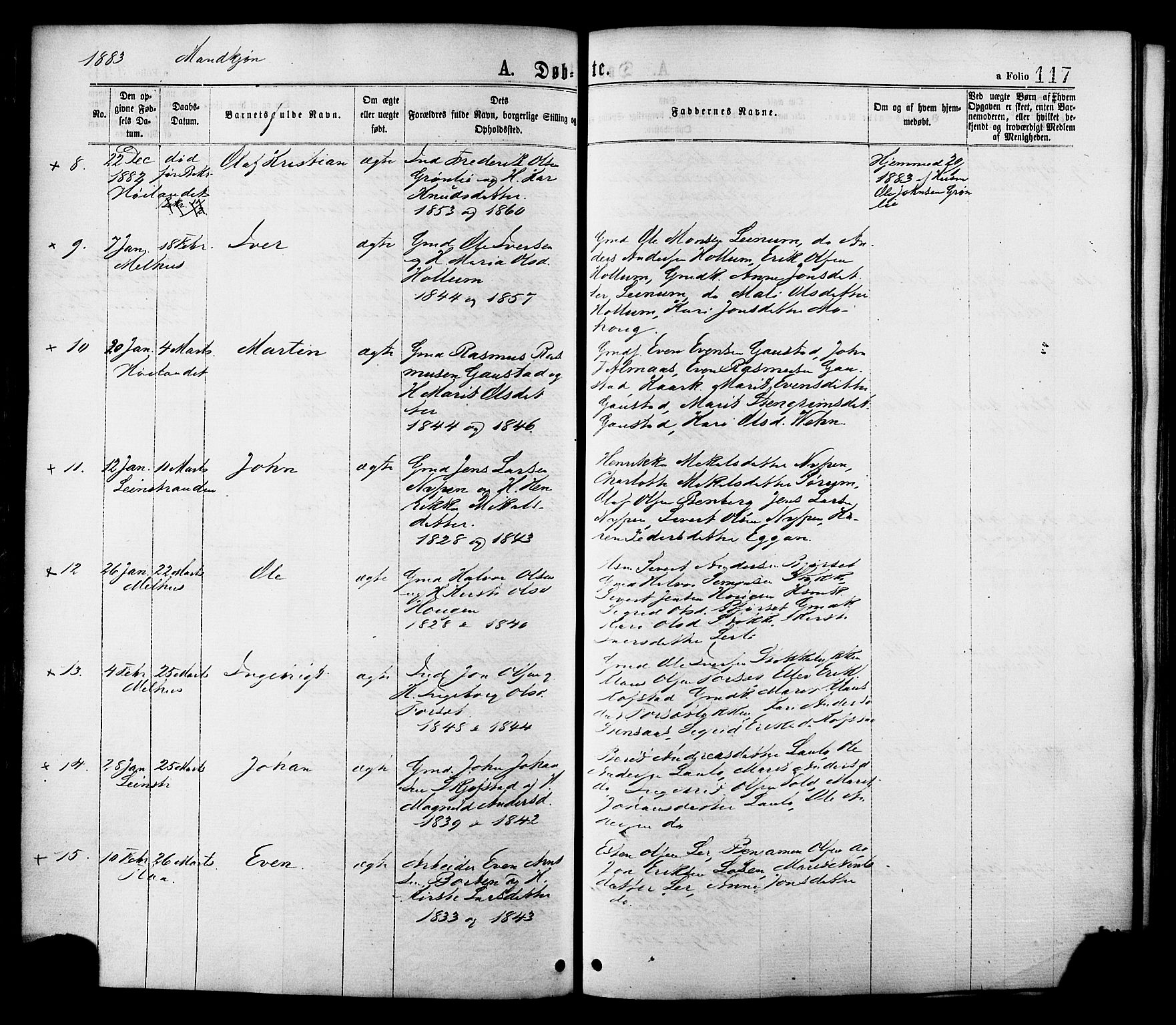 Ministerialprotokoller, klokkerbøker og fødselsregistre - Sør-Trøndelag, AV/SAT-A-1456/691/L1079: Ministerialbok nr. 691A11, 1873-1886, s. 117