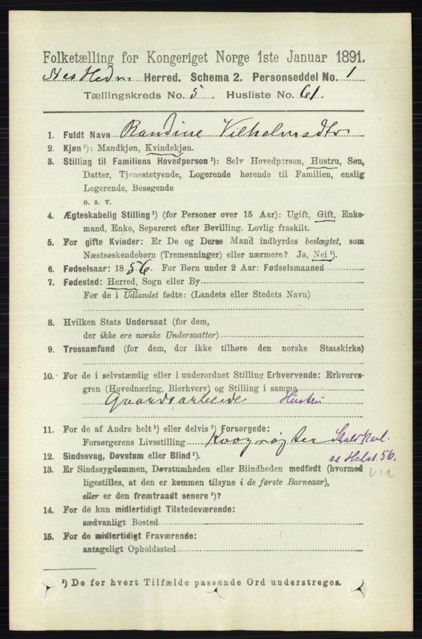 RA, Folketelling 1891 for 0411 Nes herred, 1891, s. 2998