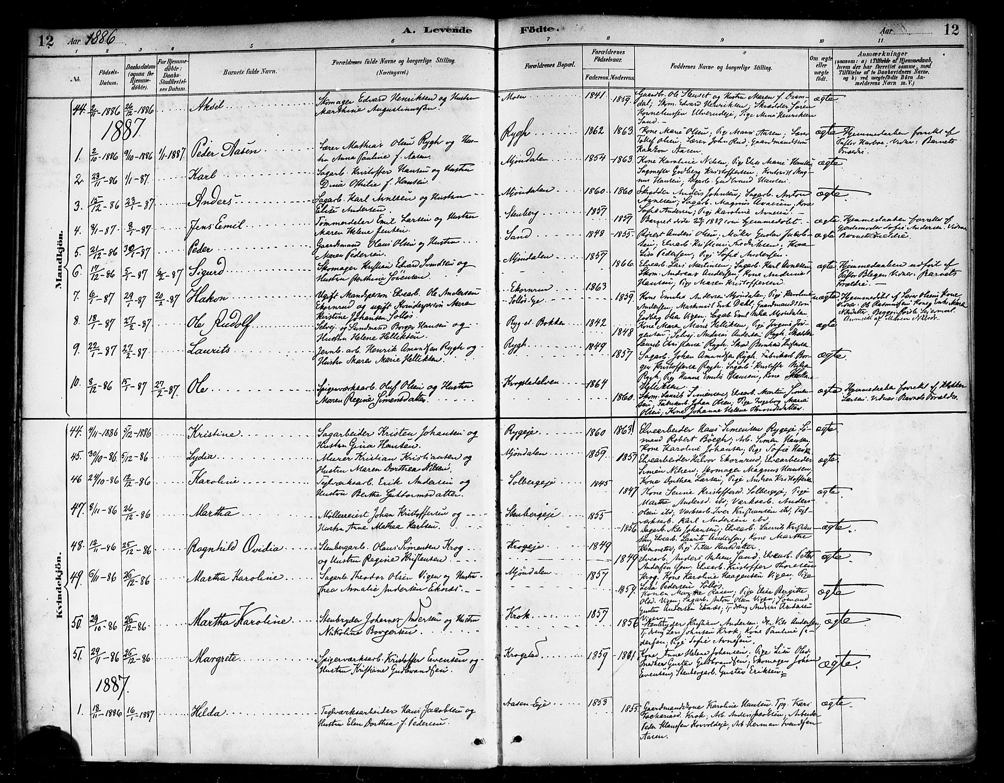 Nedre Eiker kirkebøker, AV/SAKO-A-612/F/Fa/L0003: Ministerialbok nr. 3, 1885-1892, s. 12