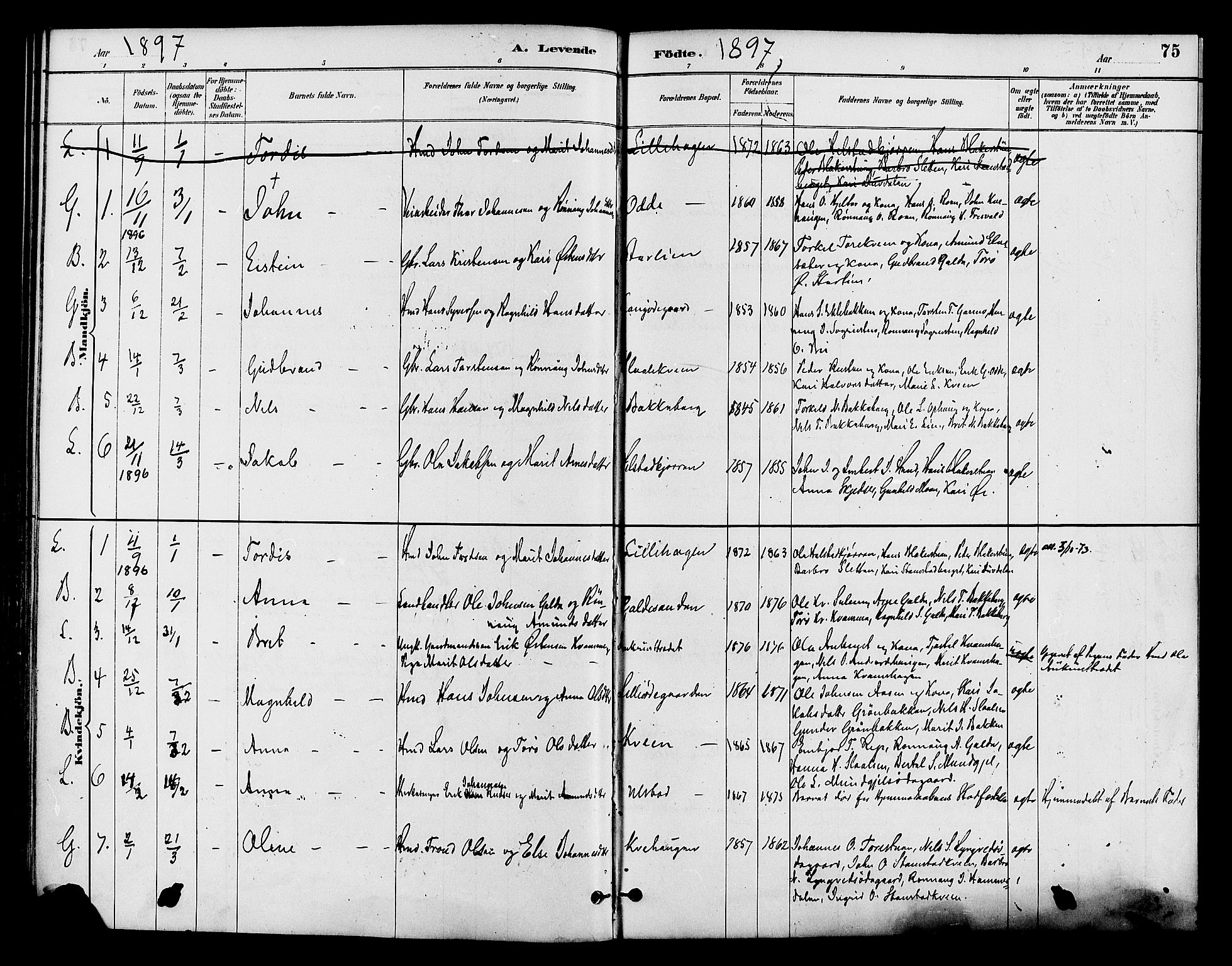 Lom prestekontor, AV/SAH-PREST-070/K/L0008: Ministerialbok nr. 8, 1885-1898, s. 75