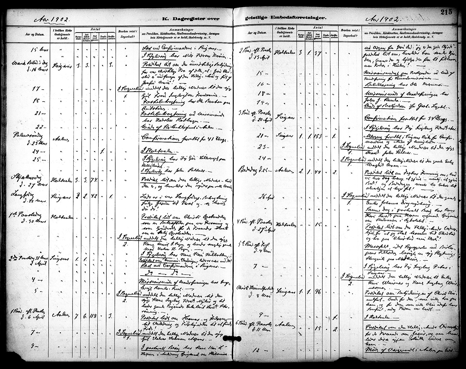 Ministerialprotokoller, klokkerbøker og fødselsregistre - Sør-Trøndelag, SAT/A-1456/686/L0984: Ministerialbok nr. 686A02, 1891-1906, s. 215