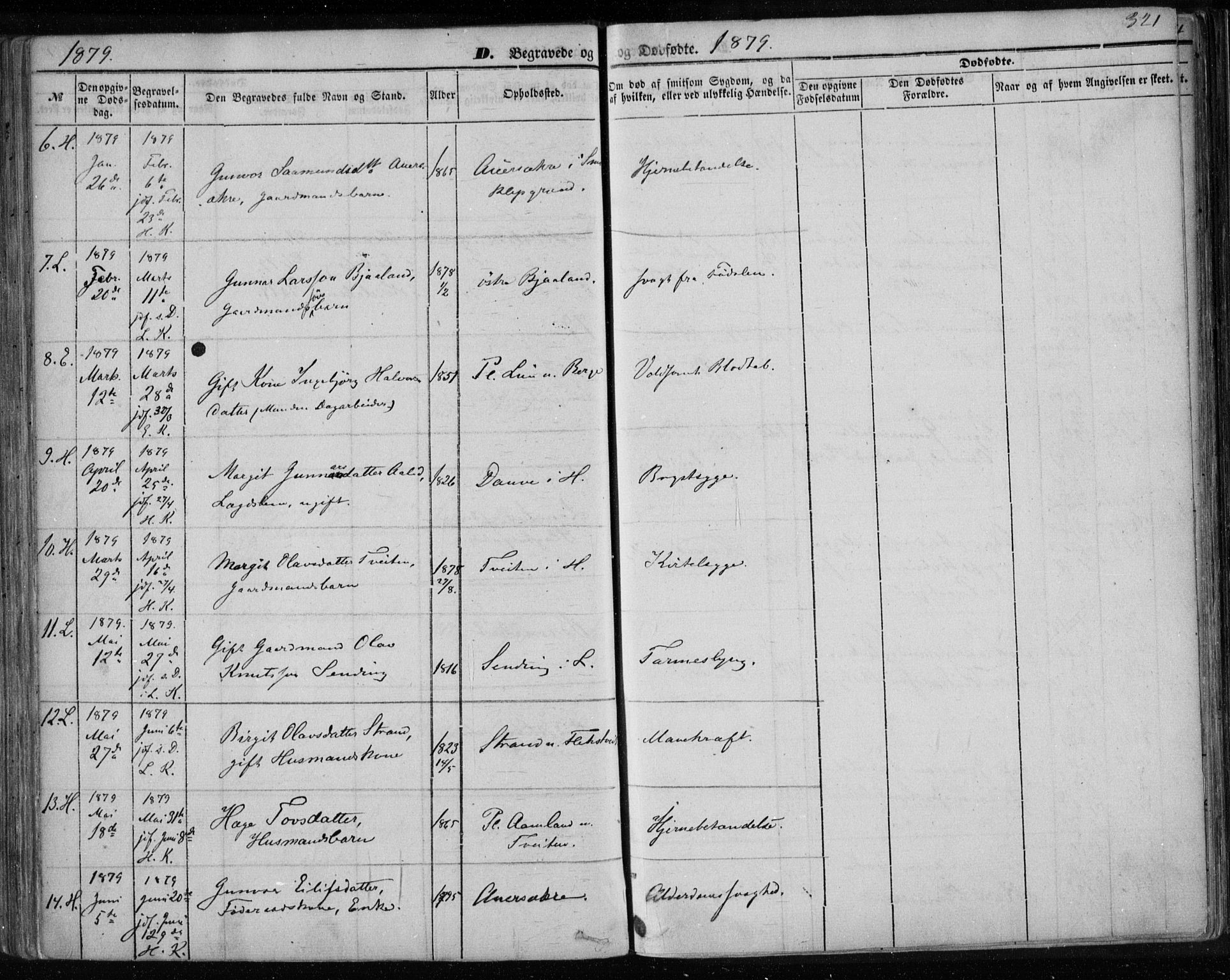Lårdal kirkebøker, AV/SAKO-A-284/F/Fa/L0006: Ministerialbok nr. I 6, 1861-1886, s. 321
