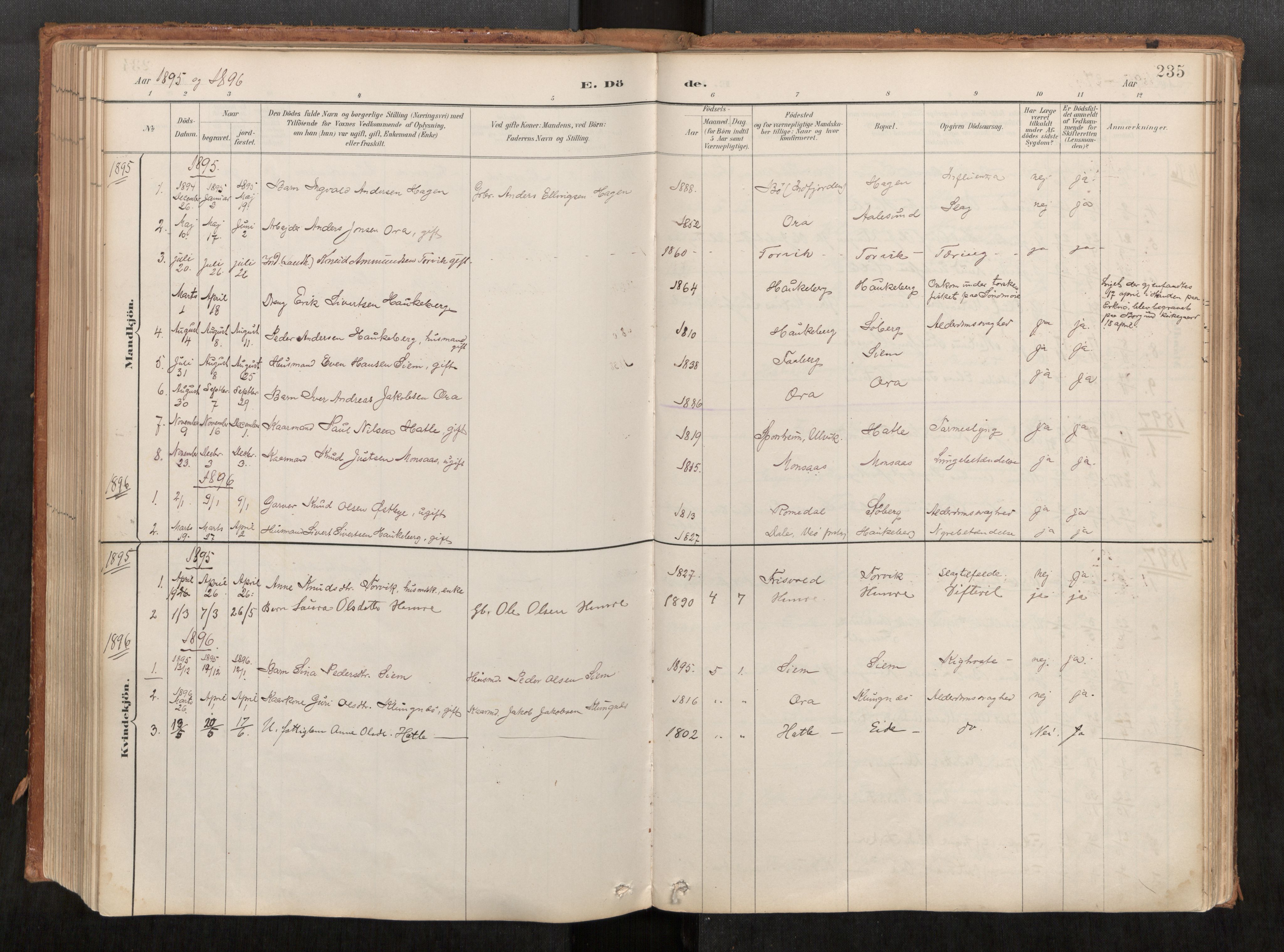 Ministerialprotokoller, klokkerbøker og fødselsregistre - Møre og Romsdal, AV/SAT-A-1454/542/L0553: Ministerialbok nr. 542A03, 1885-1925, s. 235