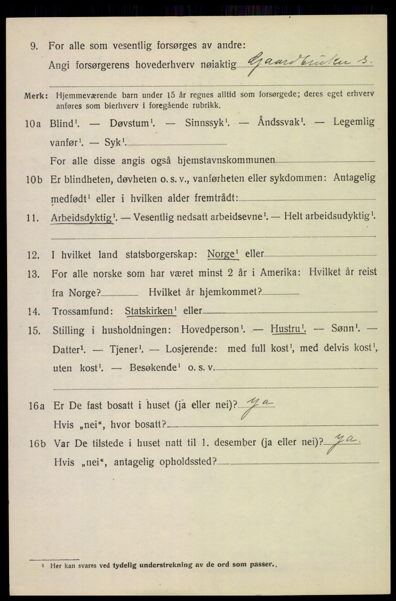 SAH, Folketelling 1920 for 0514 Lom herred, 1920, s. 1039