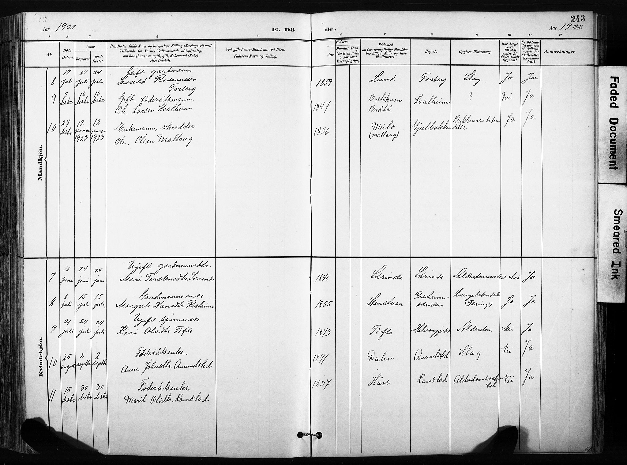 Skjåk prestekontor, AV/SAH-PREST-072/H/Ha/Hab/L0003: Klokkerbok nr. 3, 1893-1932, s. 243
