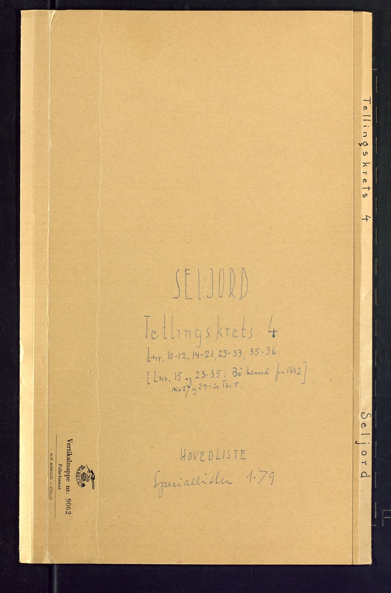 SAKO, Folketelling 1875 for 0828P Seljord prestegjeld, 1875, s. 13