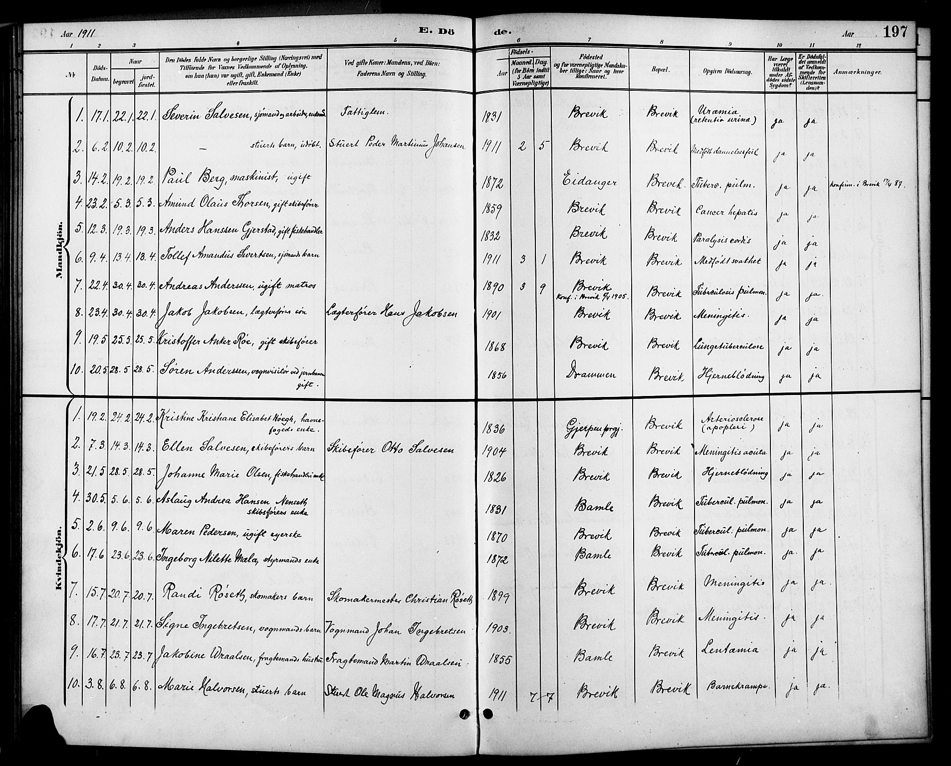 Brevik kirkebøker, AV/SAKO-A-255/G/Ga/L0005: Klokkerbok nr. 5, 1901-1924, s. 197