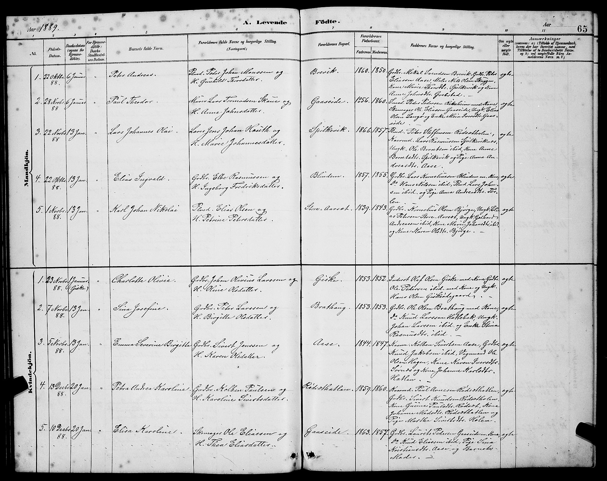 Ministerialprotokoller, klokkerbøker og fødselsregistre - Møre og Romsdal, AV/SAT-A-1454/528/L0431: Klokkerbok nr. 528C12, 1885-1898, s. 65