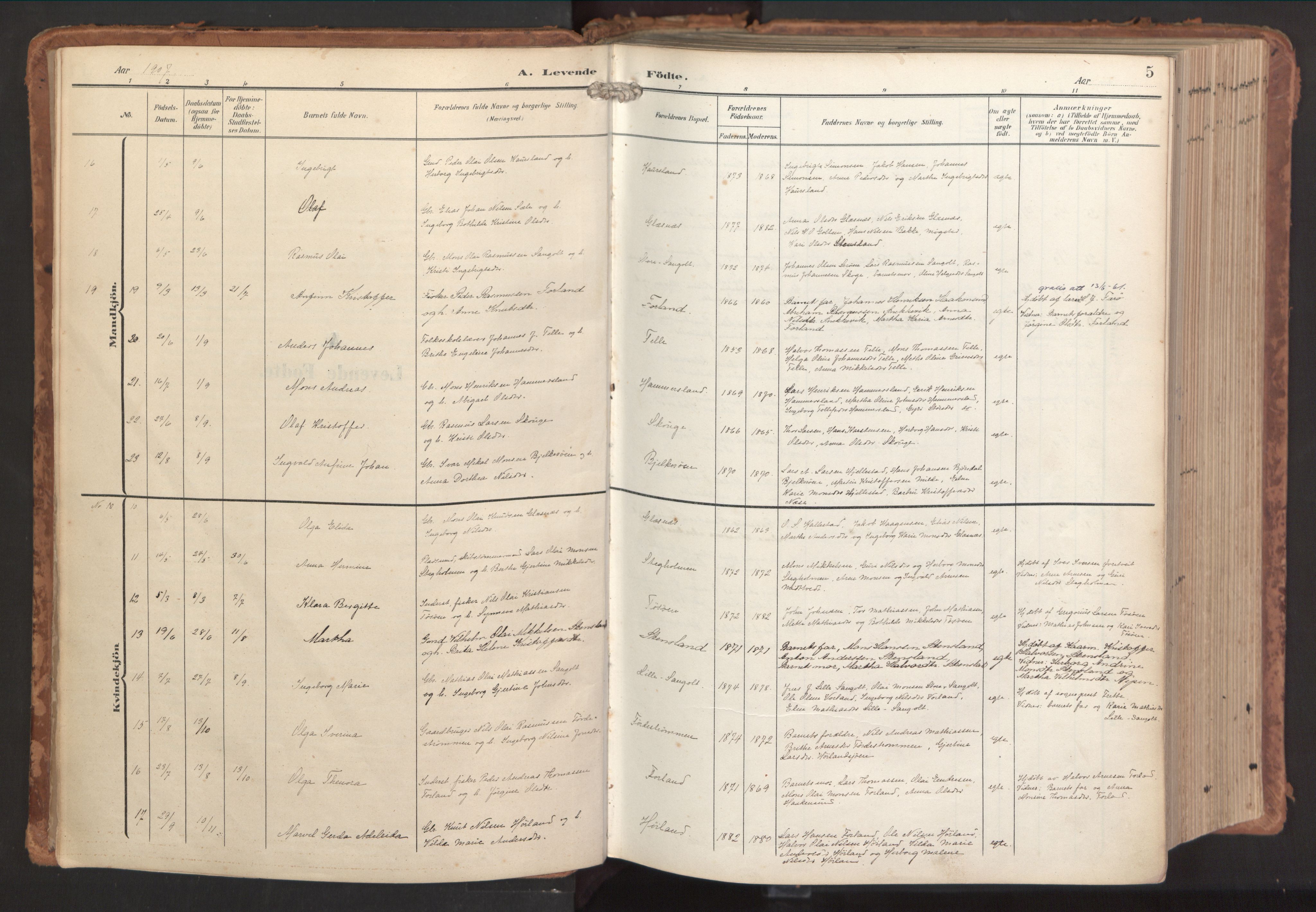 Sund sokneprestembete, AV/SAB-A-99930: Ministerialbok nr. B 2, 1907-1926, s. 5