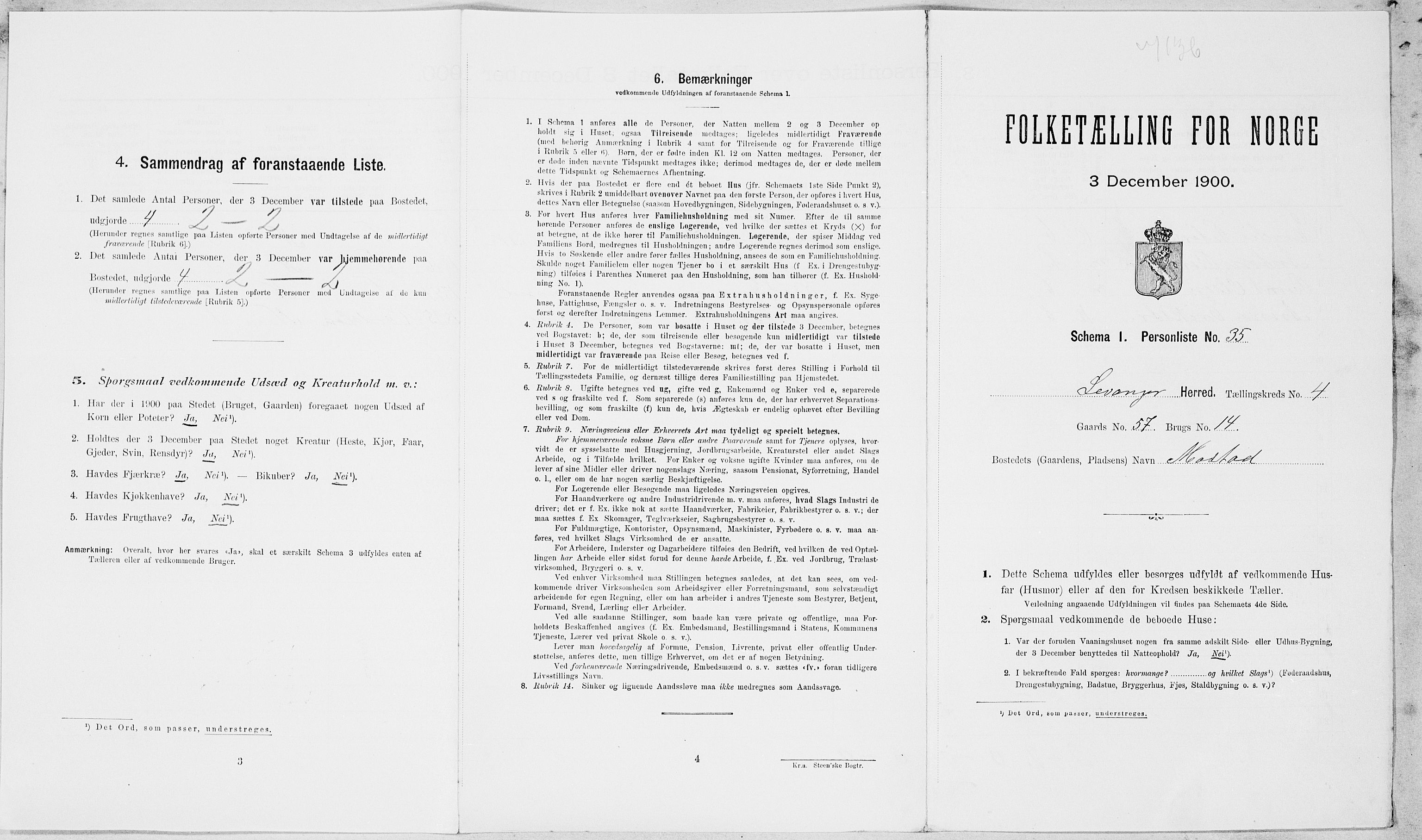 SAT, Folketelling 1900 for 1720 Levanger herred, 1900, s. 675