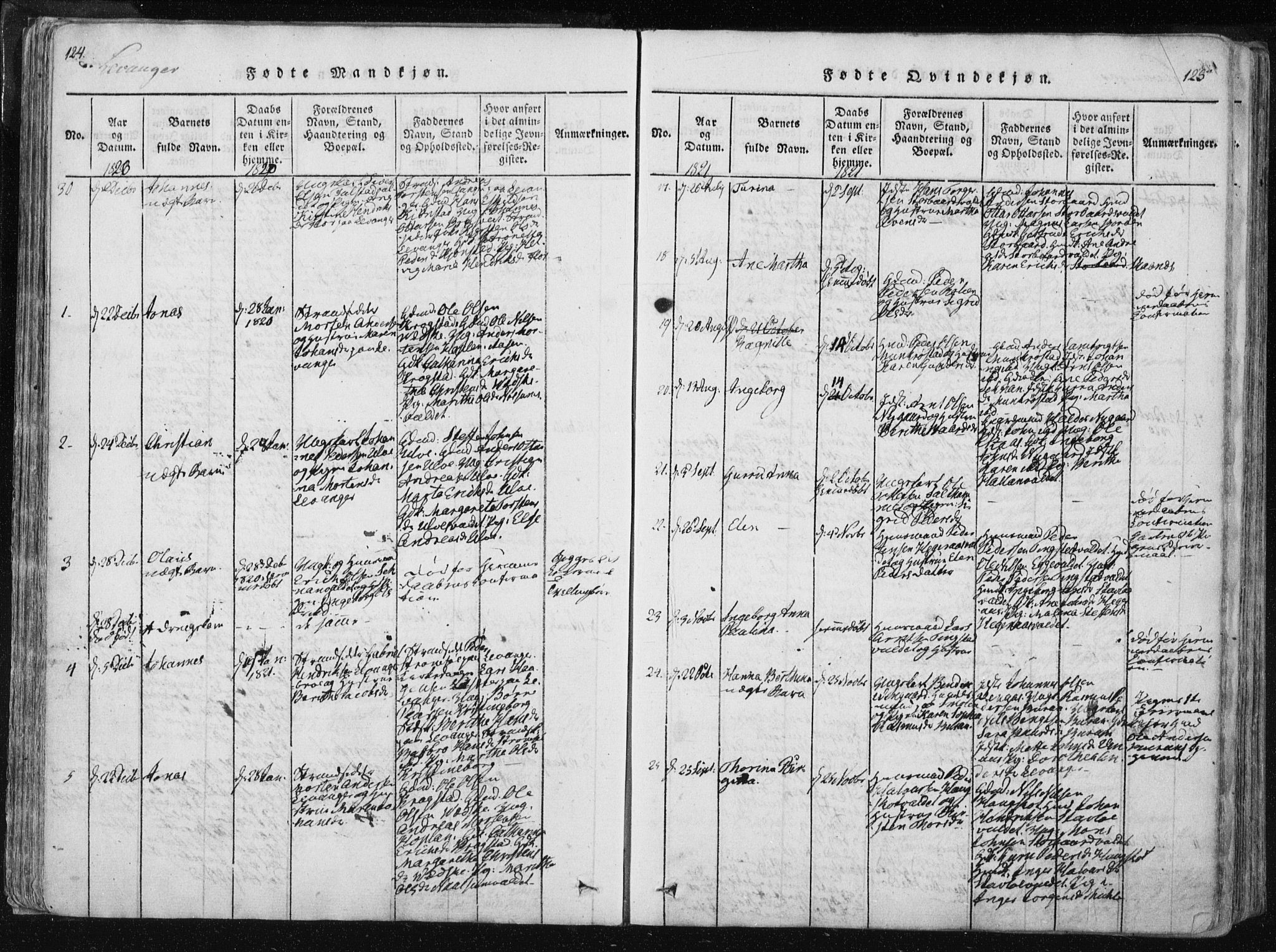 Ministerialprotokoller, klokkerbøker og fødselsregistre - Nord-Trøndelag, SAT/A-1458/717/L0148: Ministerialbok nr. 717A04 /2, 1816-1825, s. 124-125