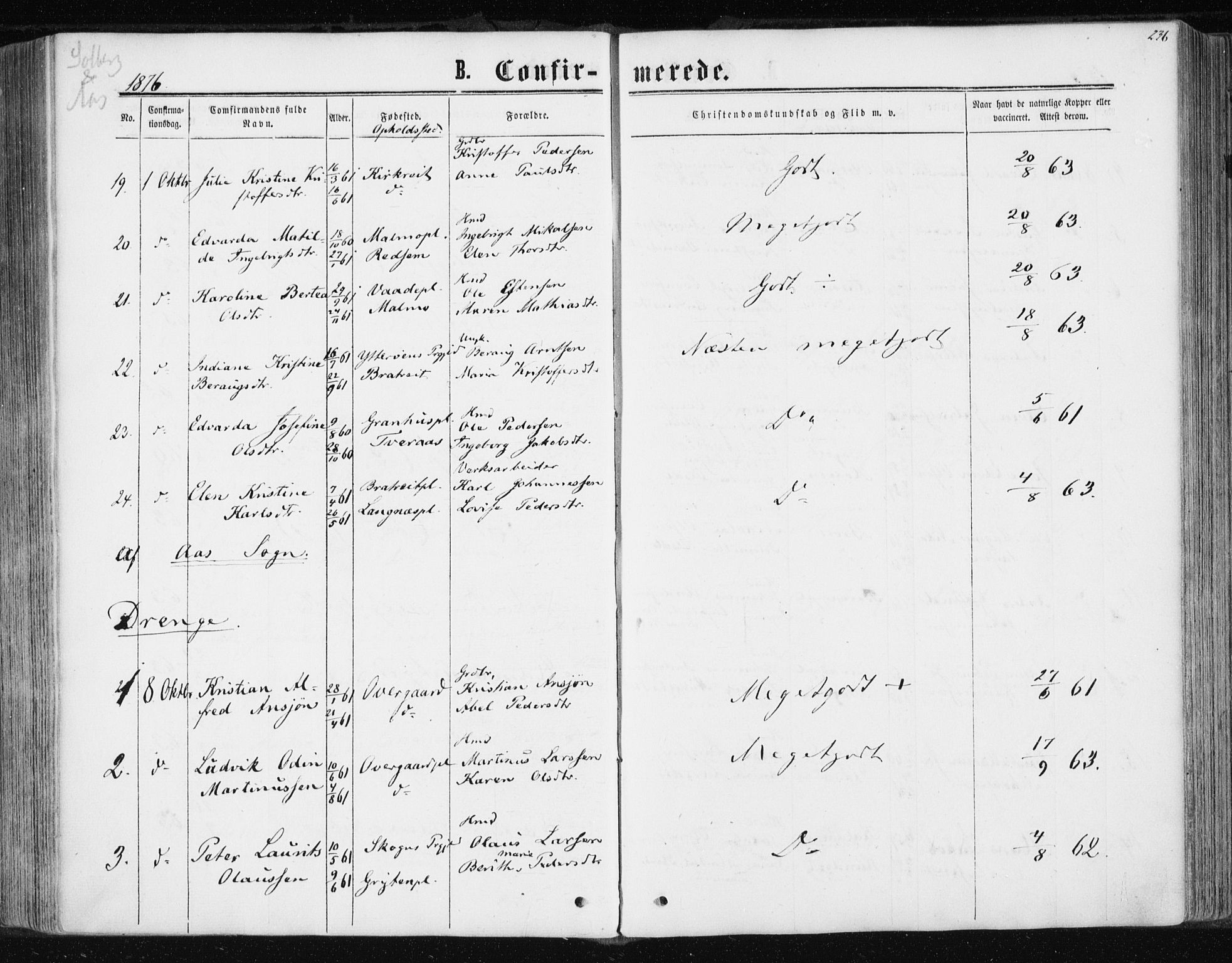 Ministerialprotokoller, klokkerbøker og fødselsregistre - Nord-Trøndelag, AV/SAT-A-1458/741/L0394: Ministerialbok nr. 741A08, 1864-1877, s. 236