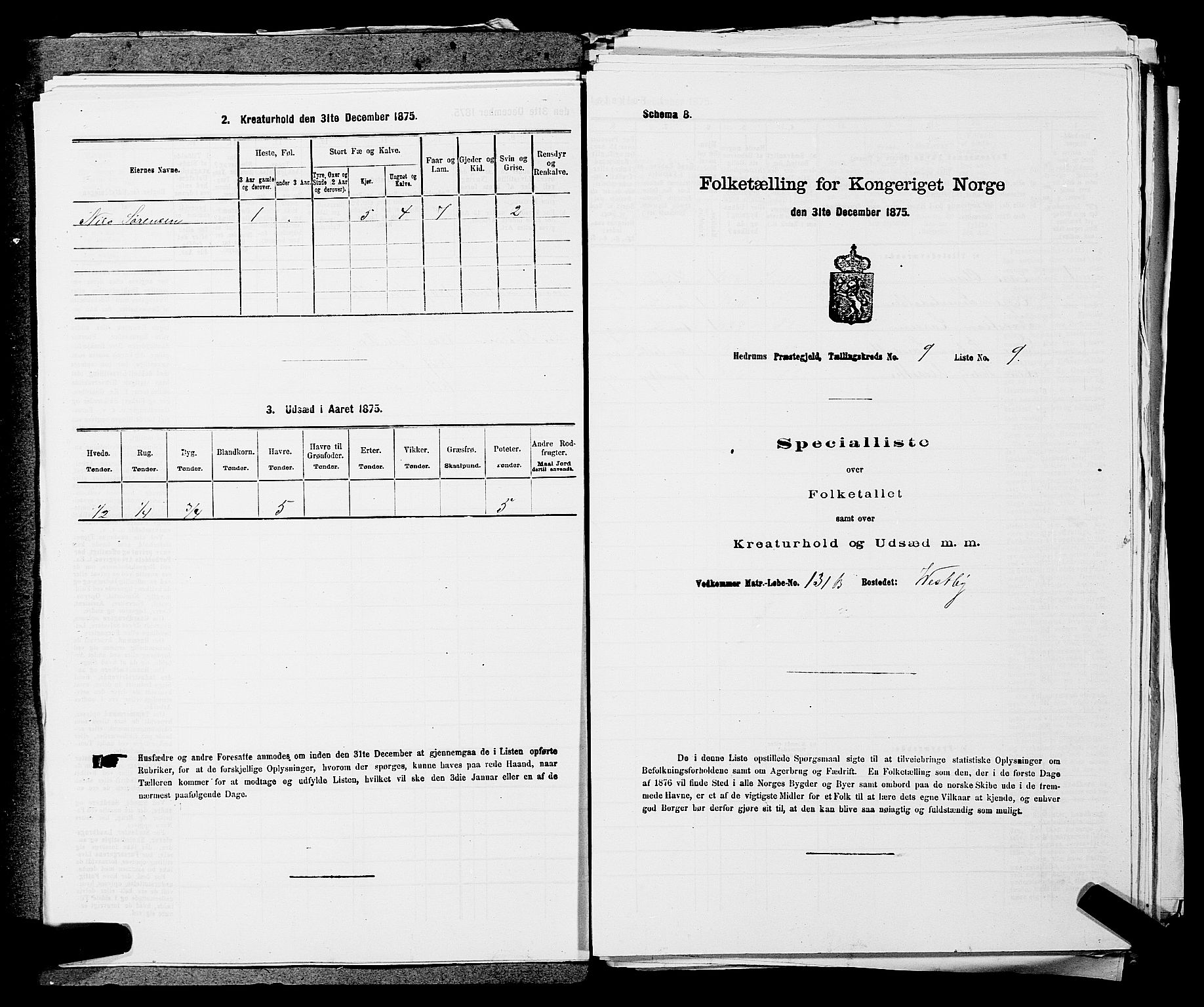 SAKO, Folketelling 1875 for 0727P Hedrum prestegjeld, 1875, s. 854