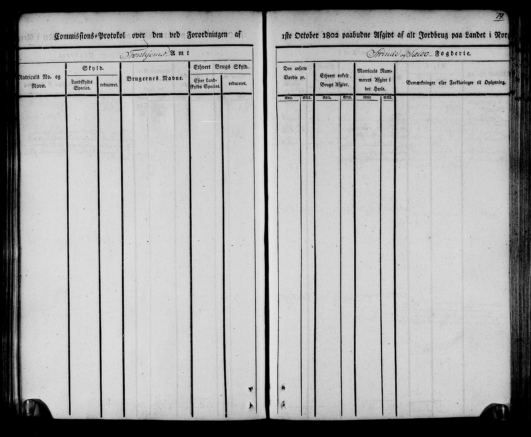 Rentekammeret inntil 1814, Realistisk ordnet avdeling, RA/EA-4070/N/Ne/Nea/L0140: Strinda og Selbu fogderi. Kommisjonsprotokoll, 1803, s. 80