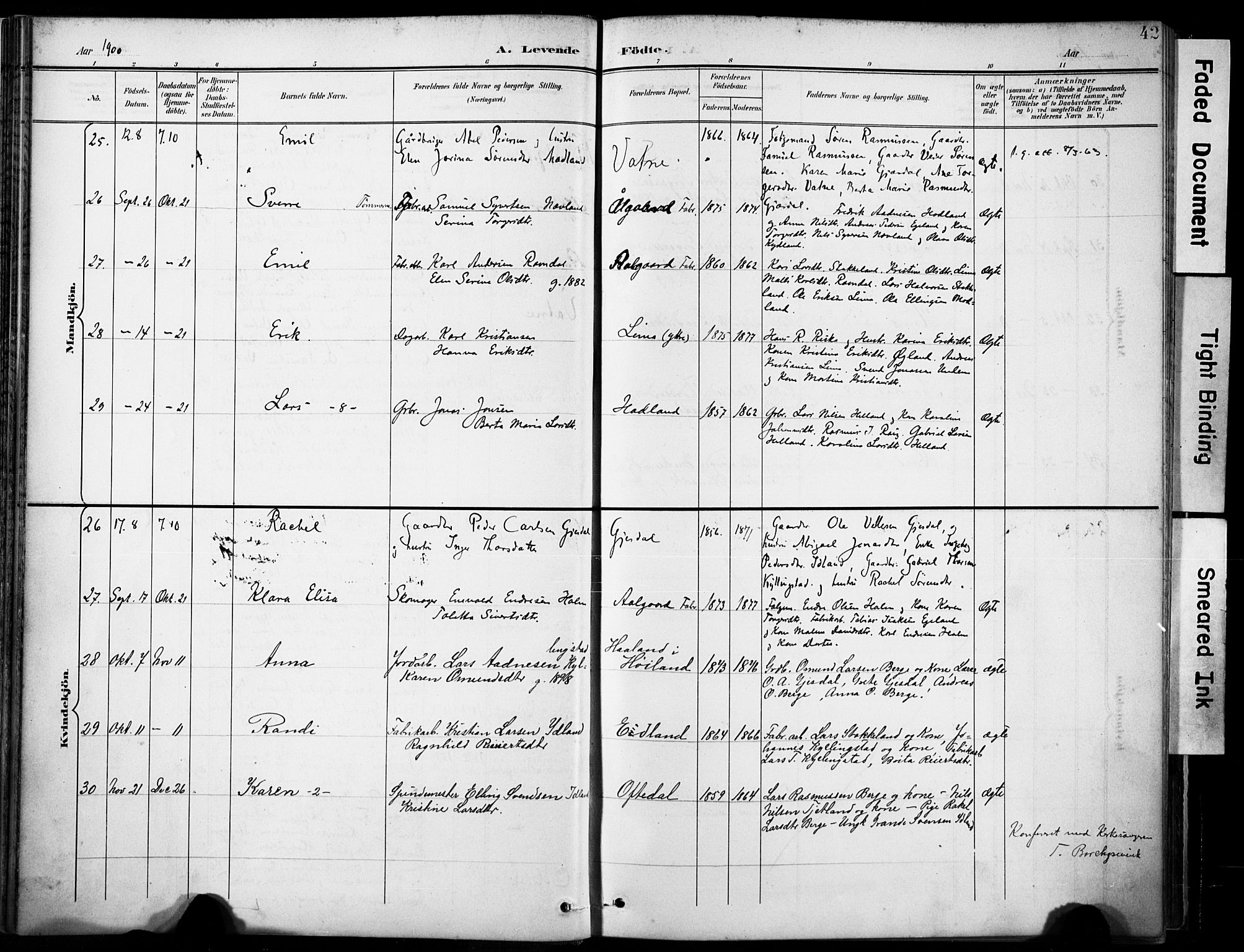 Lye sokneprestkontor, AV/SAST-A-101794/001/30BA/L0012: Ministerialbok nr. A 11, 1896-1909, s. 42