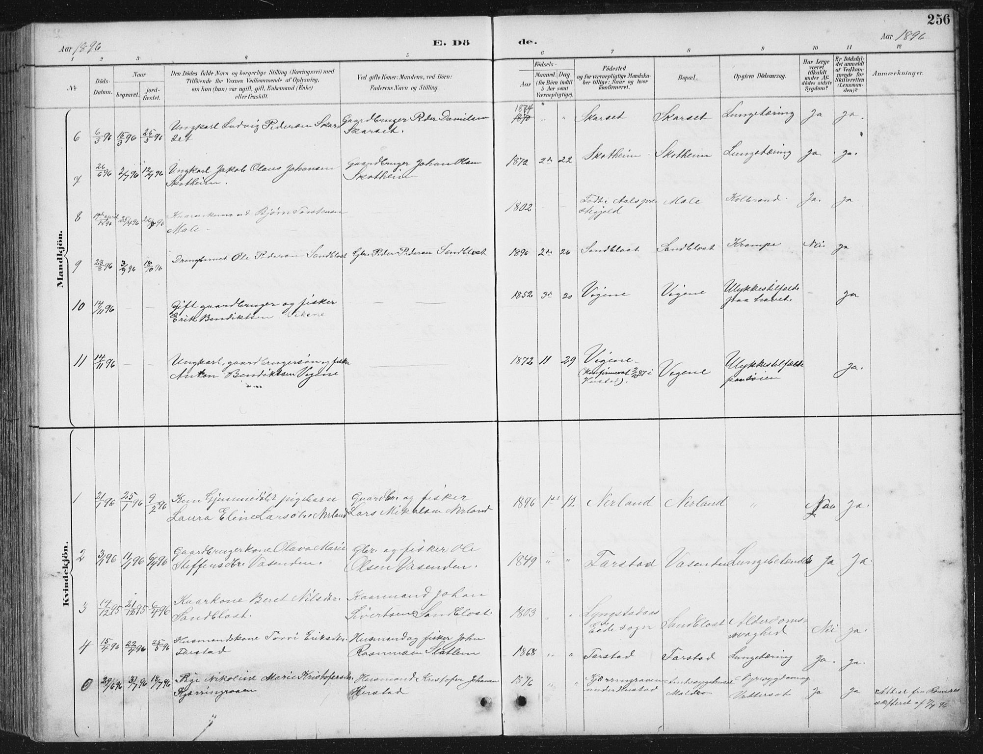 Ministerialprotokoller, klokkerbøker og fødselsregistre - Møre og Romsdal, AV/SAT-A-1454/567/L0783: Klokkerbok nr. 567C03, 1887-1903, s. 256