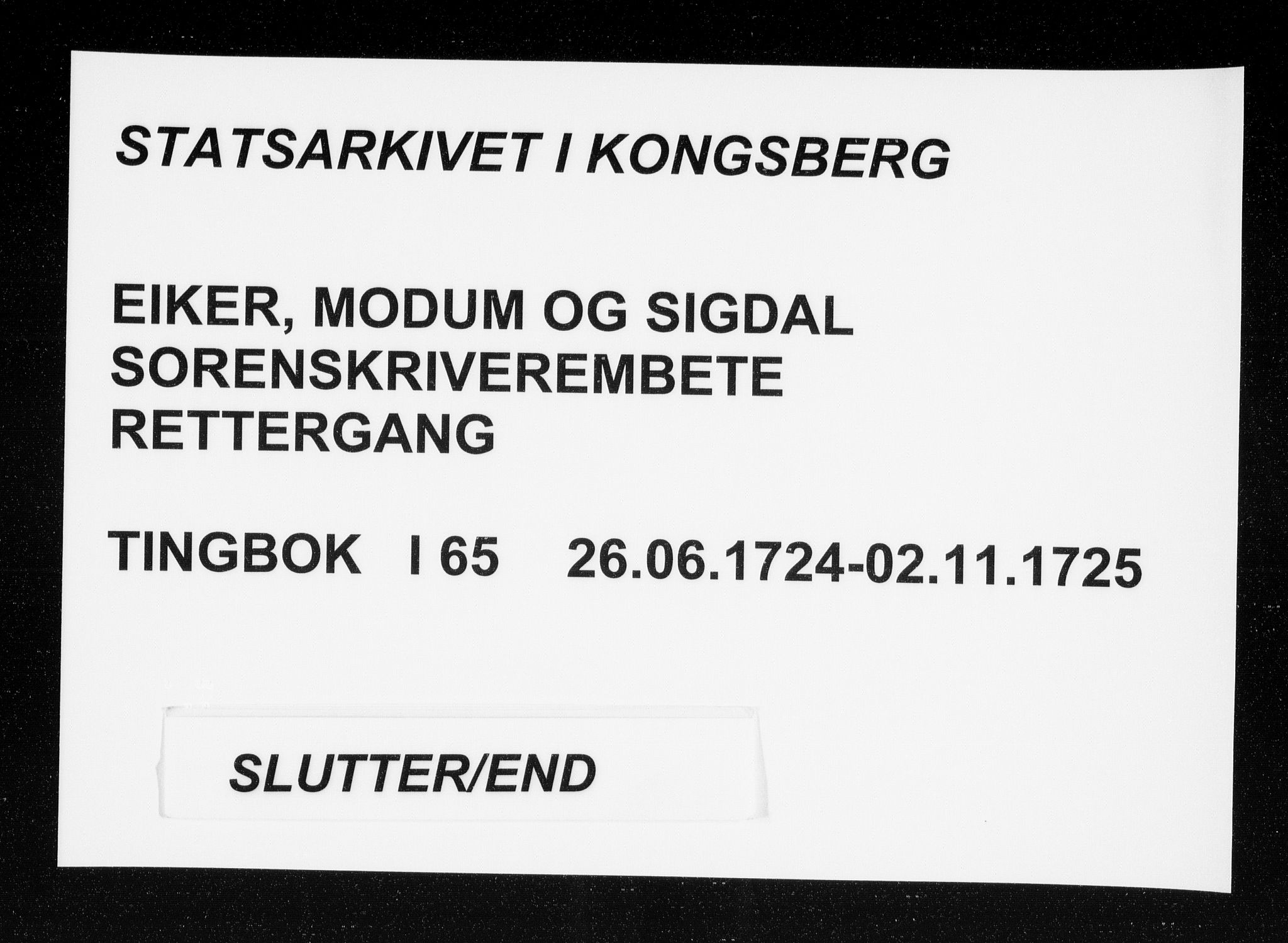 Eiker, Modum og Sigdal sorenskriveri, SAKO/A-123/F/Fa/Faa/L0065: Tingbok, 1724-1725