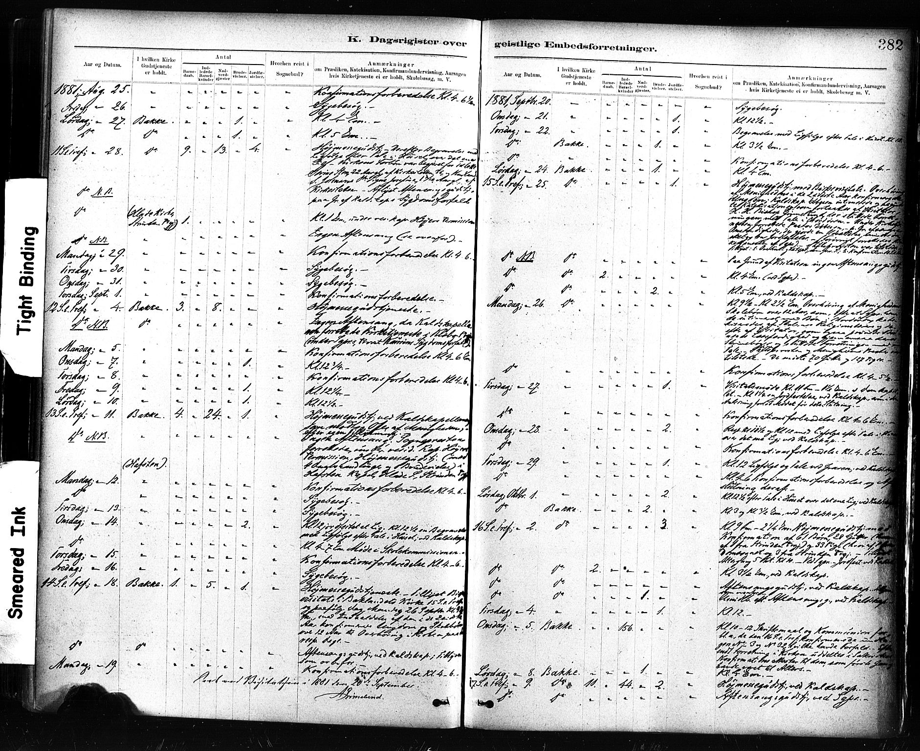 Ministerialprotokoller, klokkerbøker og fødselsregistre - Sør-Trøndelag, AV/SAT-A-1456/604/L0189: Ministerialbok nr. 604A10, 1878-1892, s. 382